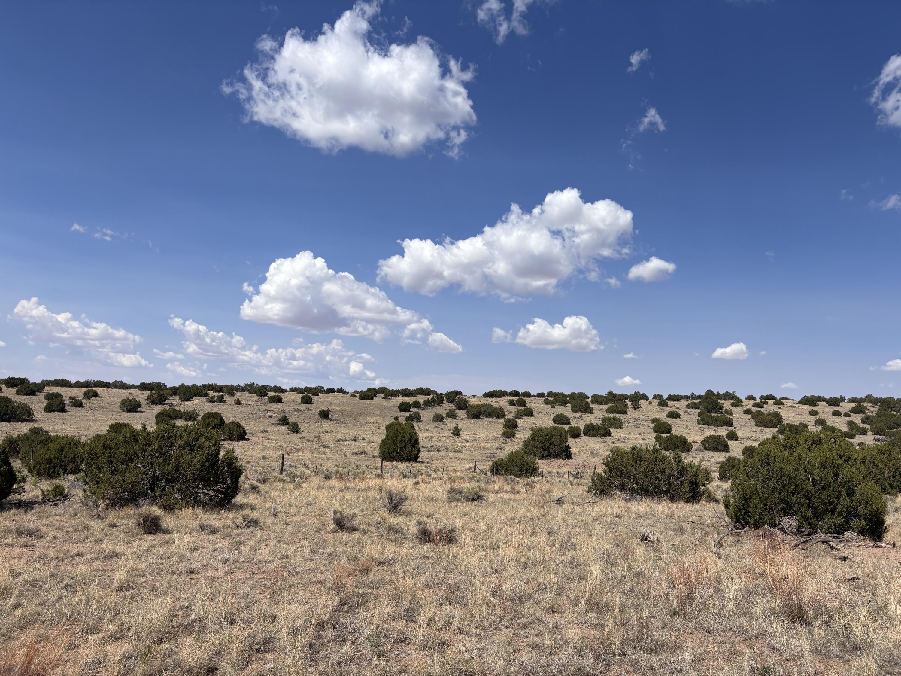 Lot 43 Pinon Springs Ranches