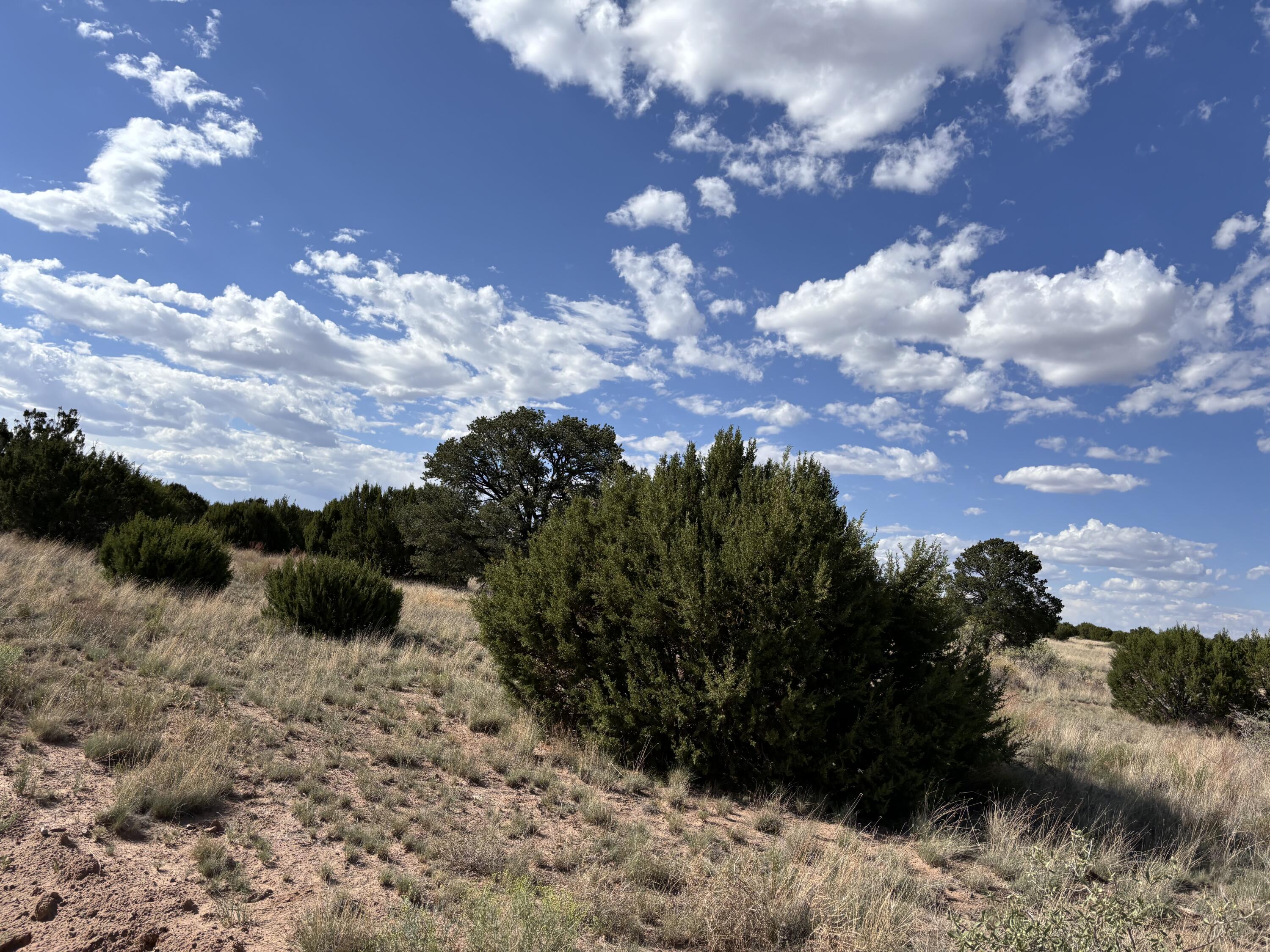 Lot 43 Pinon Springs Ranches
