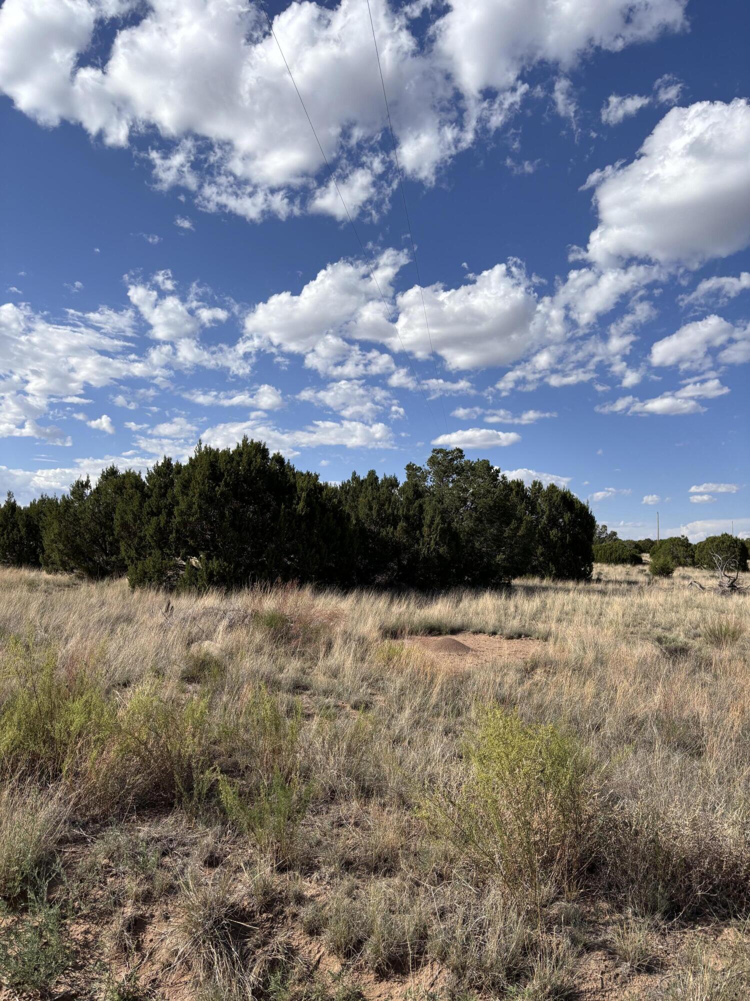 Lot 43 Pinon Springs Ranches