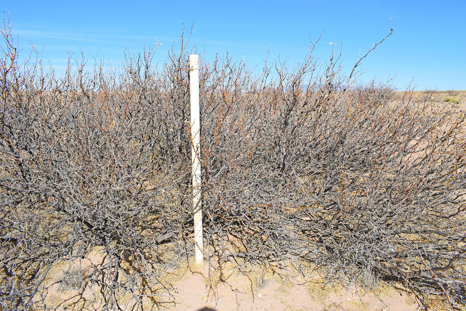 Lot 28 Chula Vista