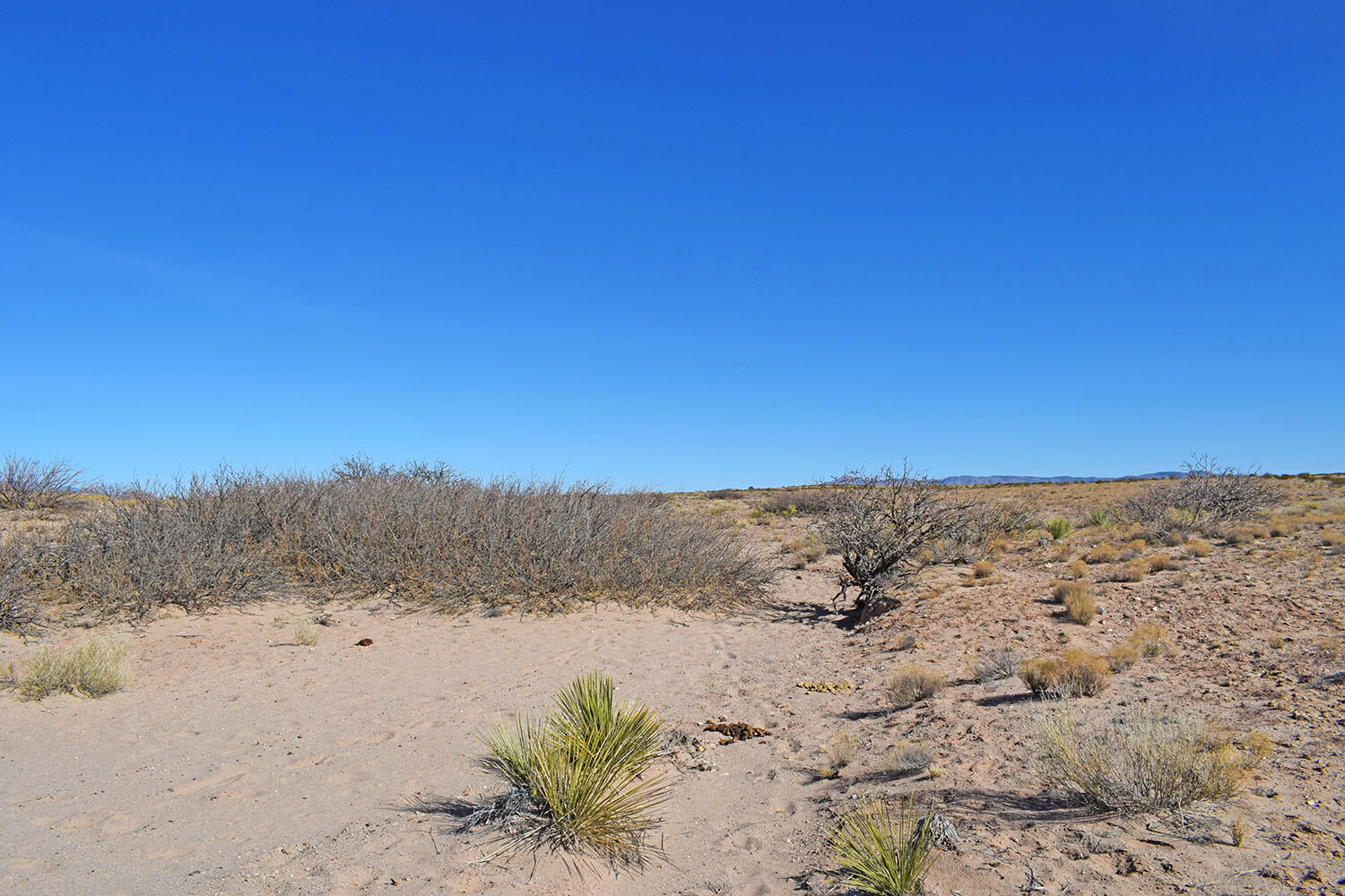 Lot 28 Chula Vista
