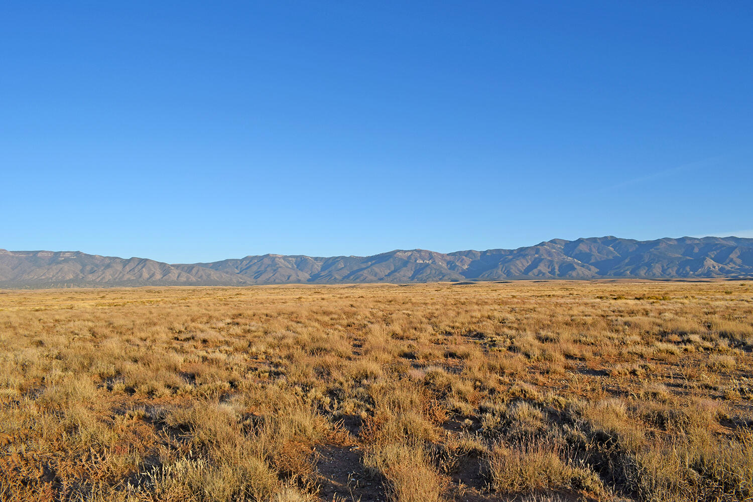 Lot 15 Rio Del Oro 2