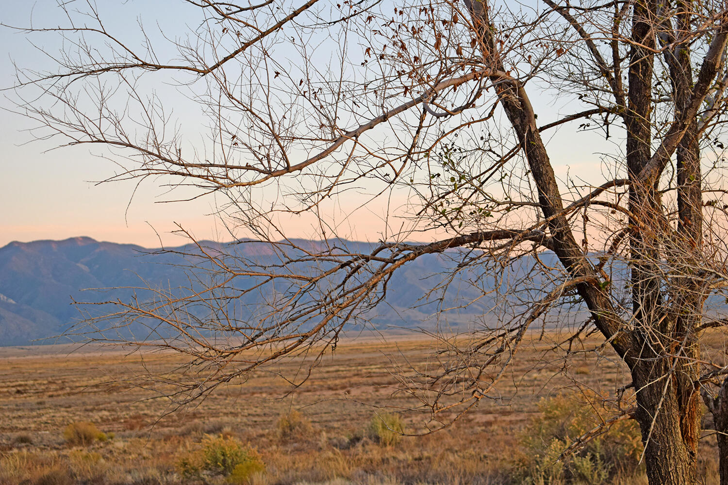 Lot 36-40 Rio Del Oro 3