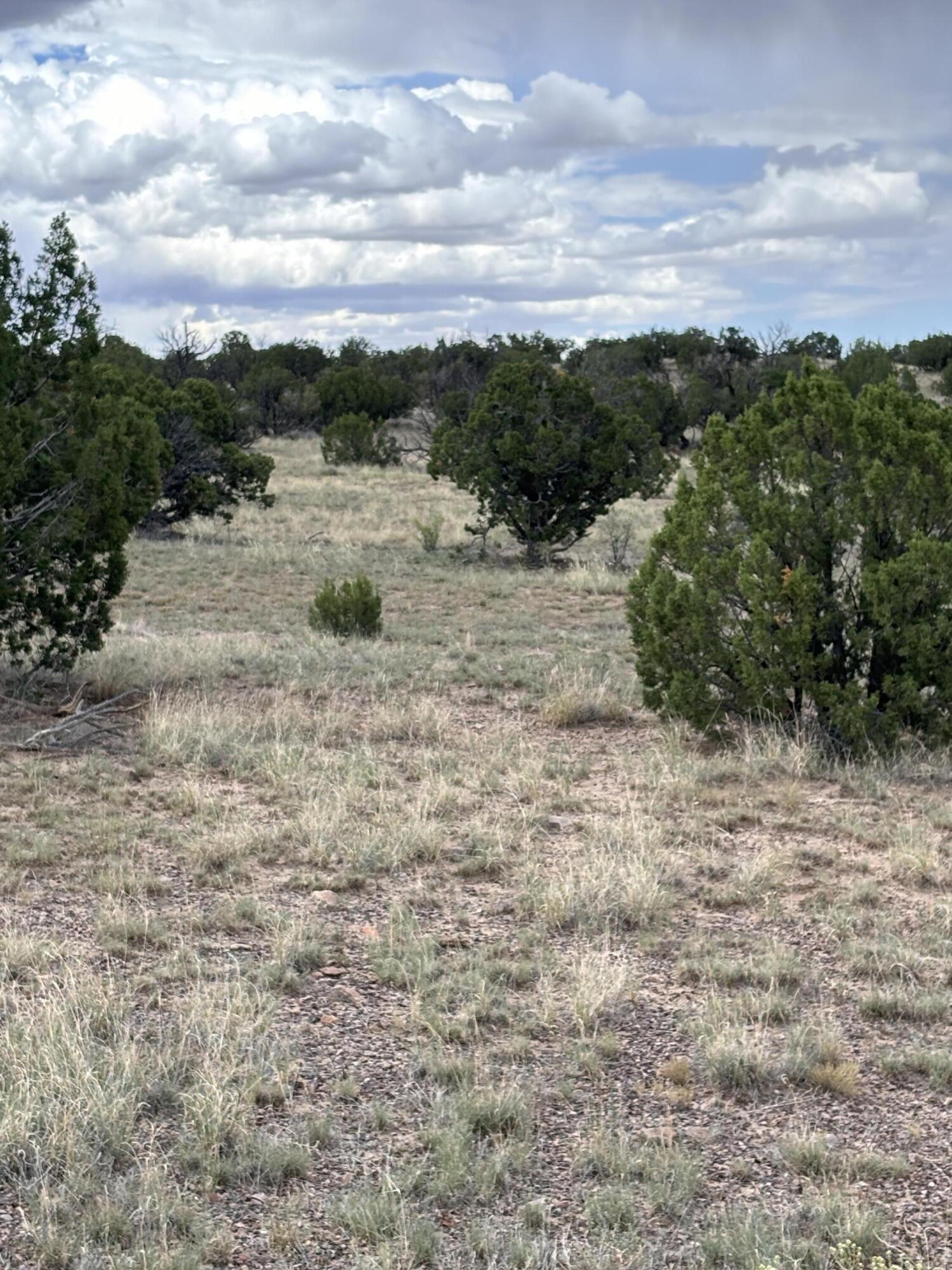 Lot 95 Abbe Springs