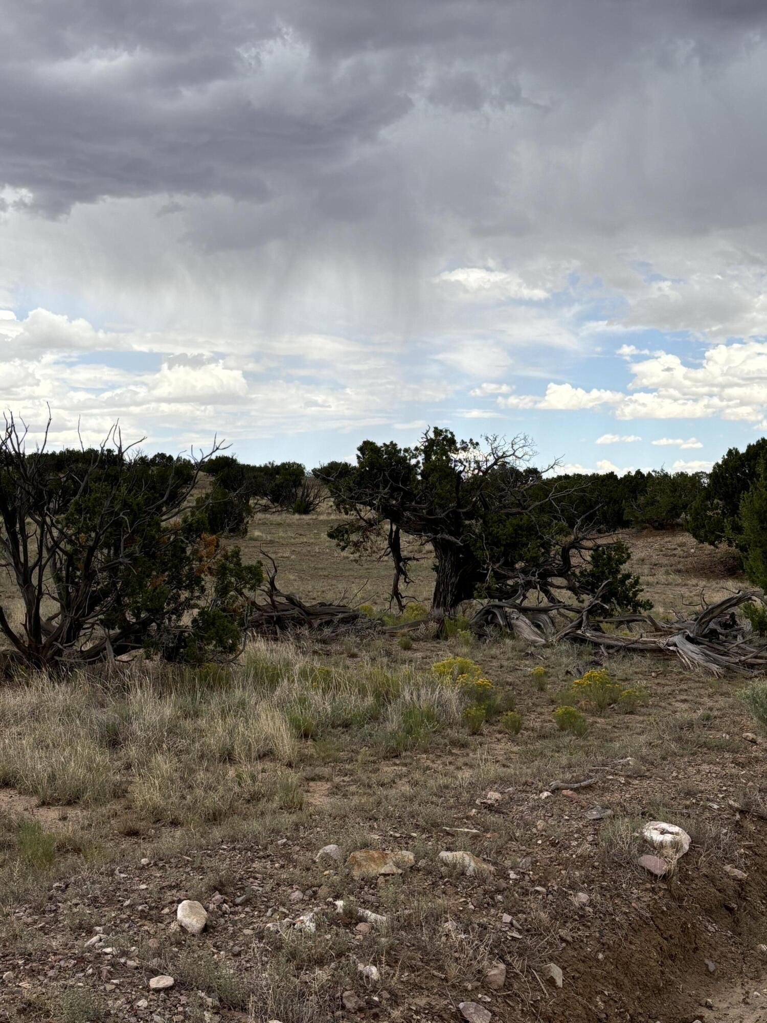 Lot 95 Abbe Springs