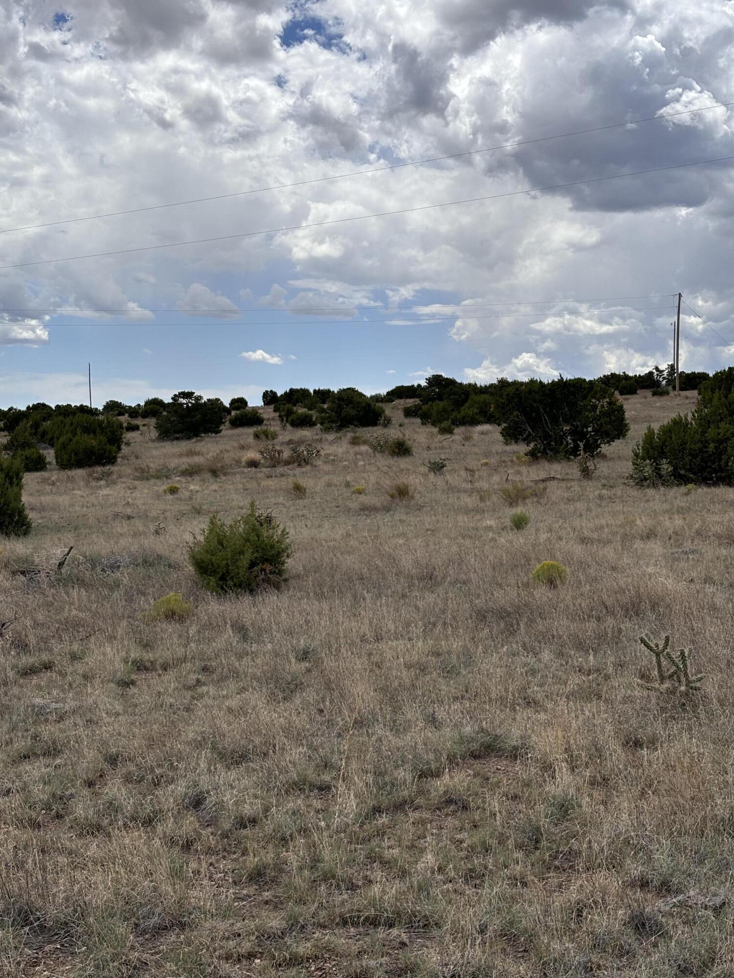 Lot 95 Abbe Springs