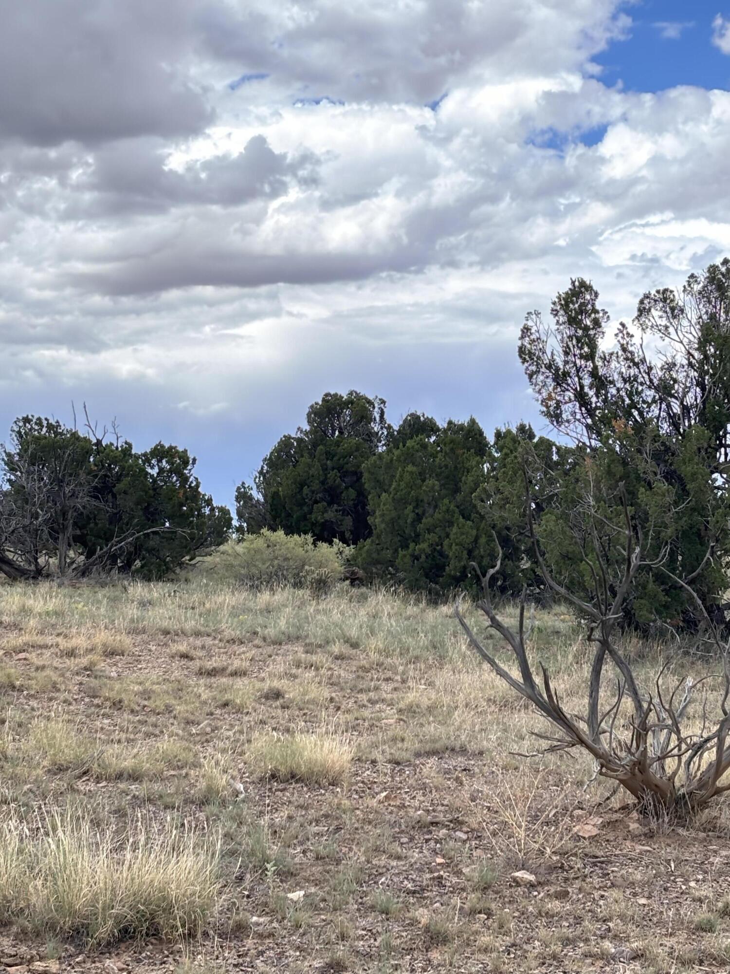 Lot 95 Abbe Springs