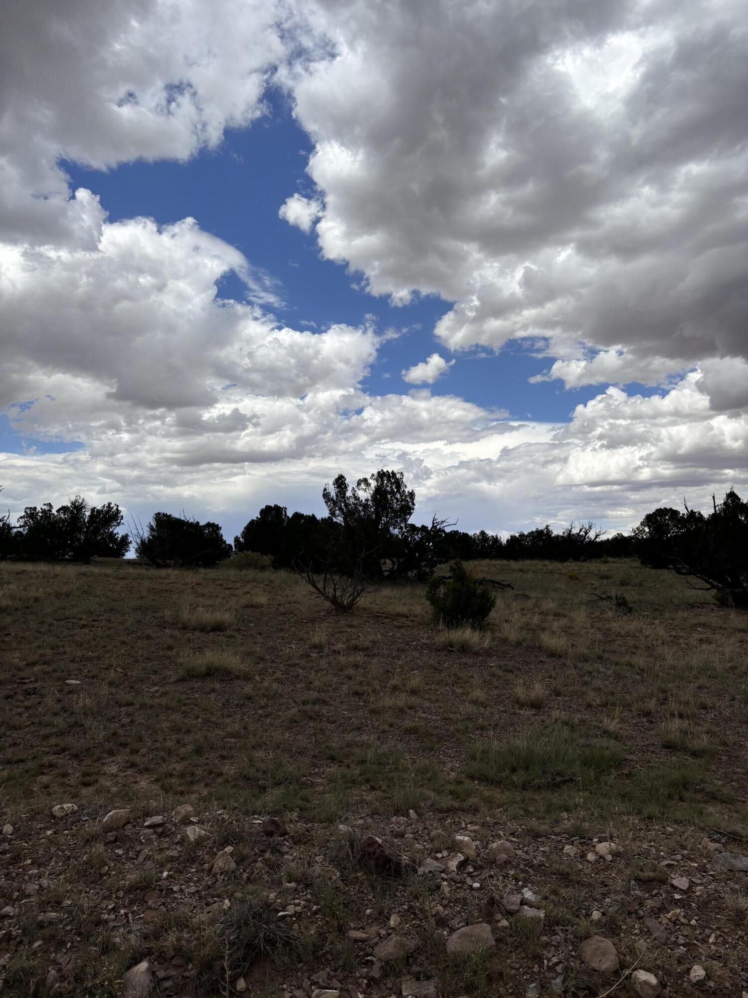 Lot 95 Abbe Springs