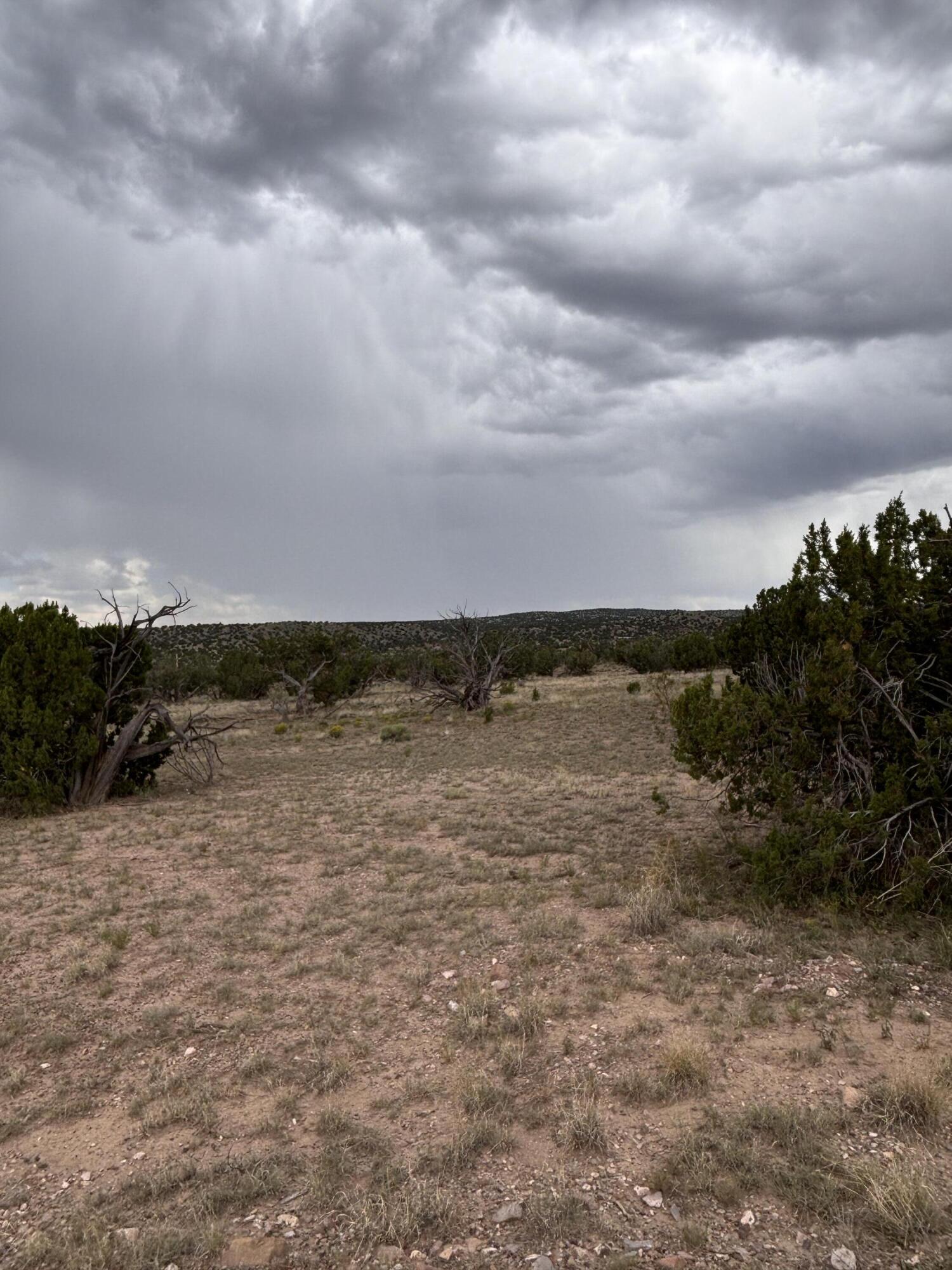 Lot 95 Abbe Springs