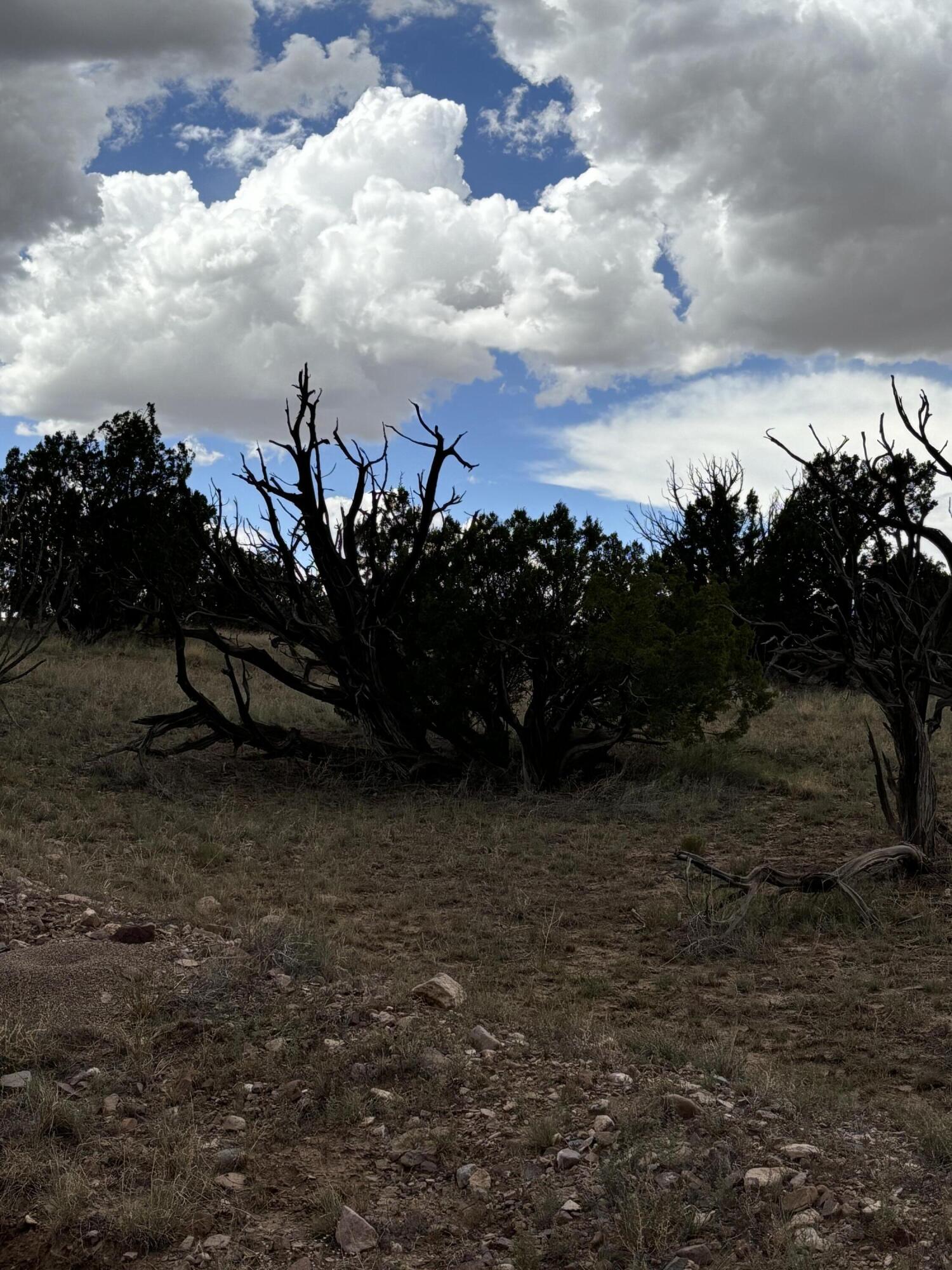 Lot 95 Abbe Springs