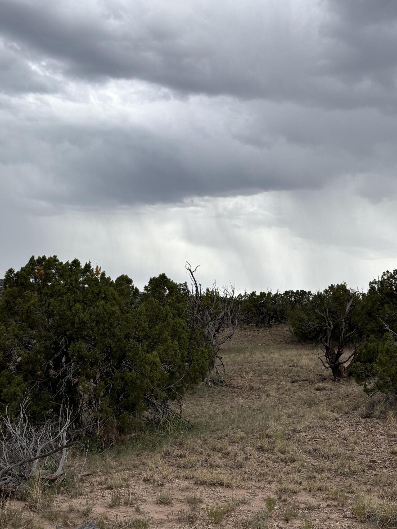 Lot 95 Abbe Springs