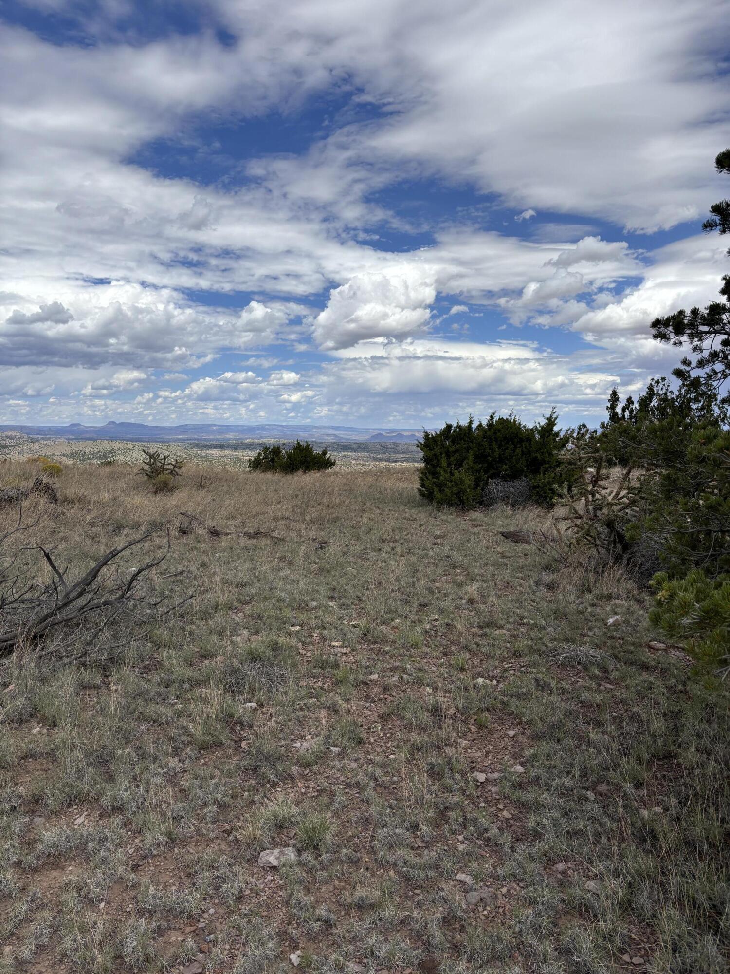 Lot 95 Abbe Springs