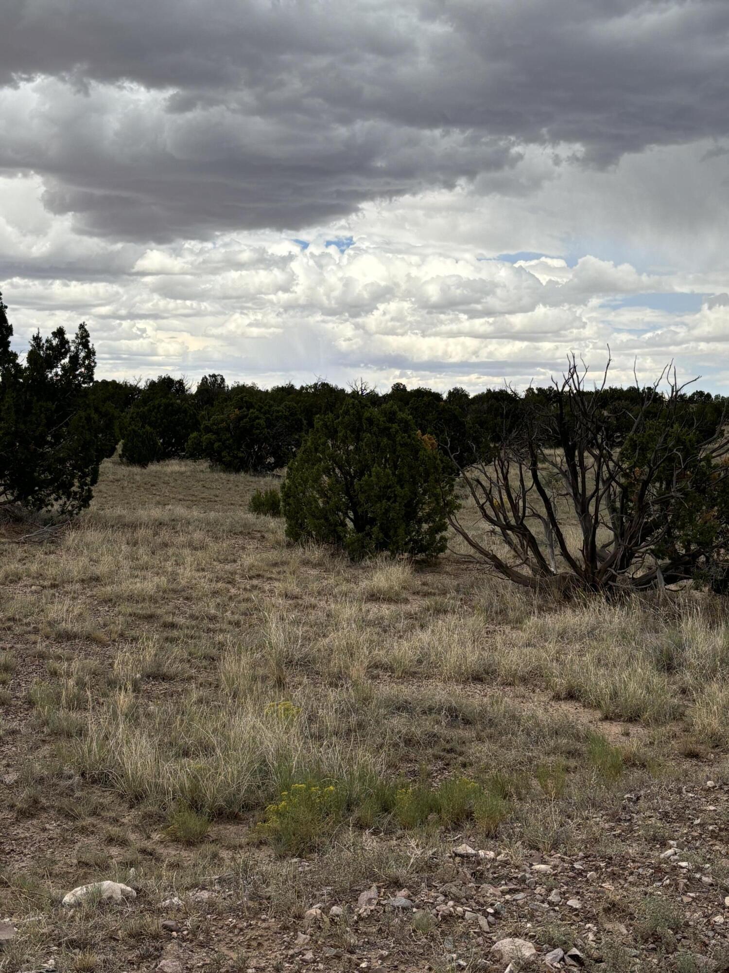 Lot 95 Abbe Springs