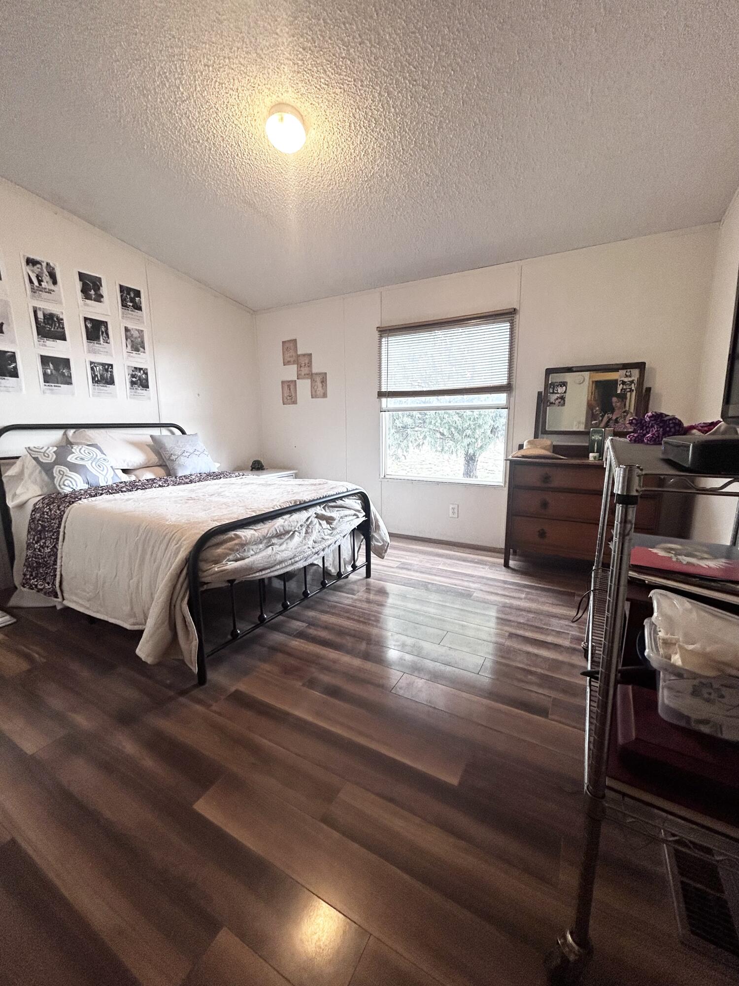 82 Holli Loop
