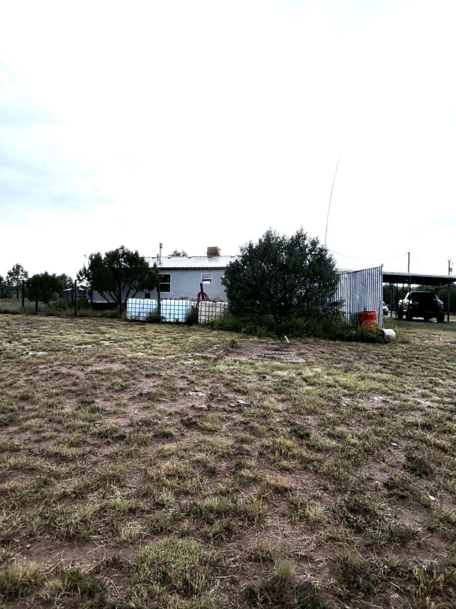 82 Holli Loop