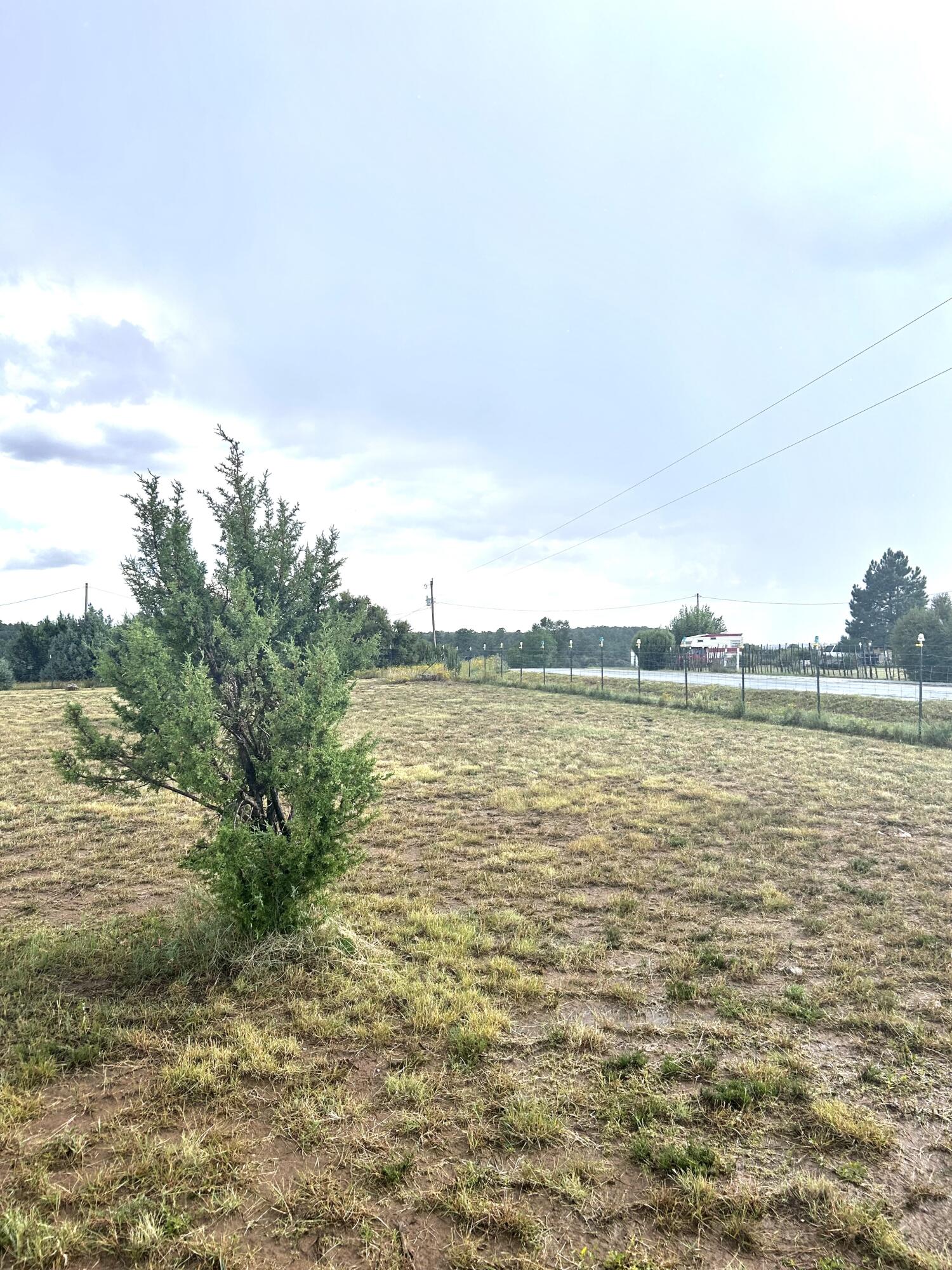 82 Holli Loop