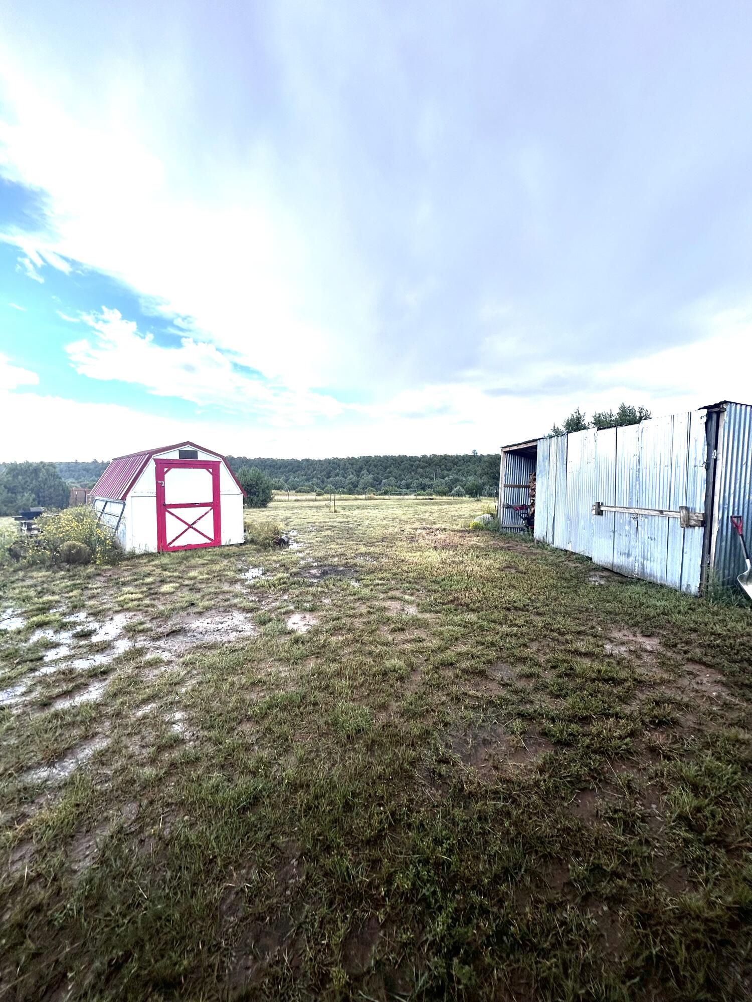 82 Holli Loop