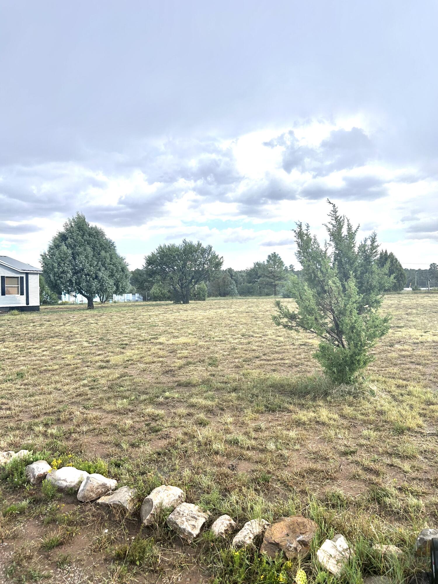 82 Holli Loop