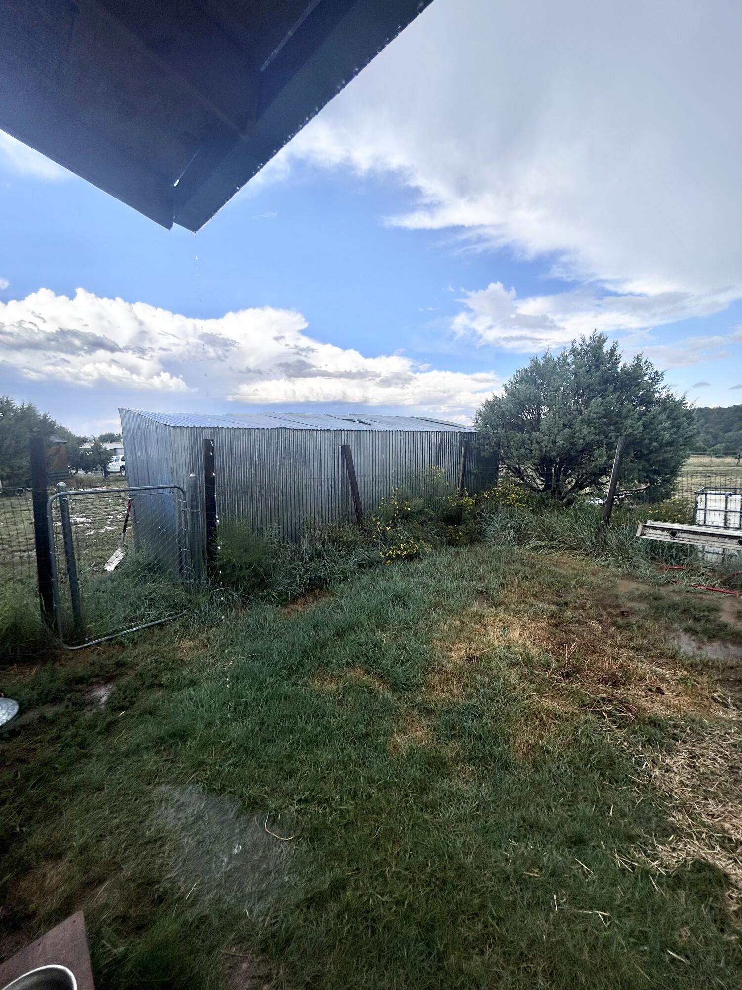 82 Holli Loop