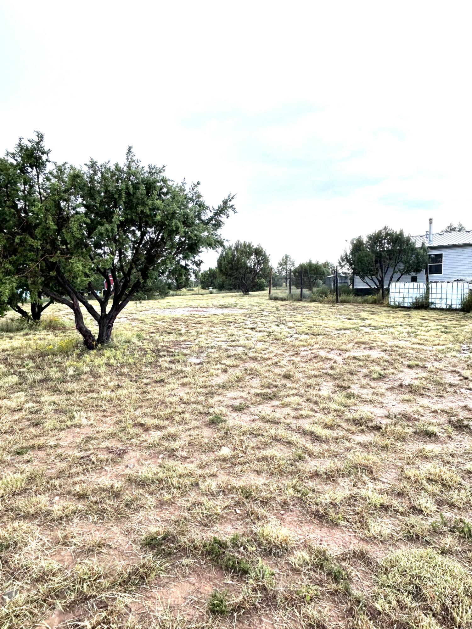 82 Holli Loop