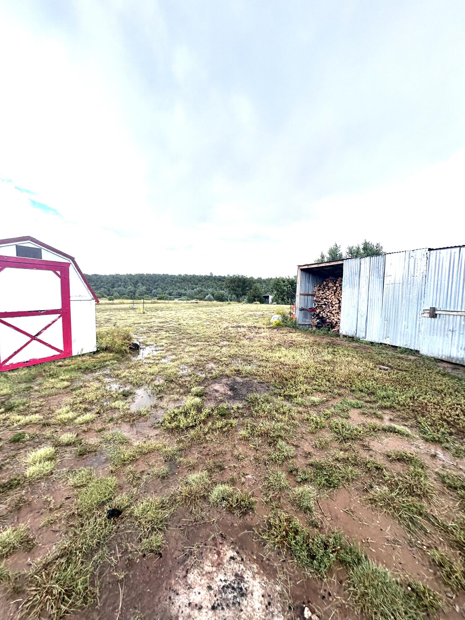 82 Holli Loop