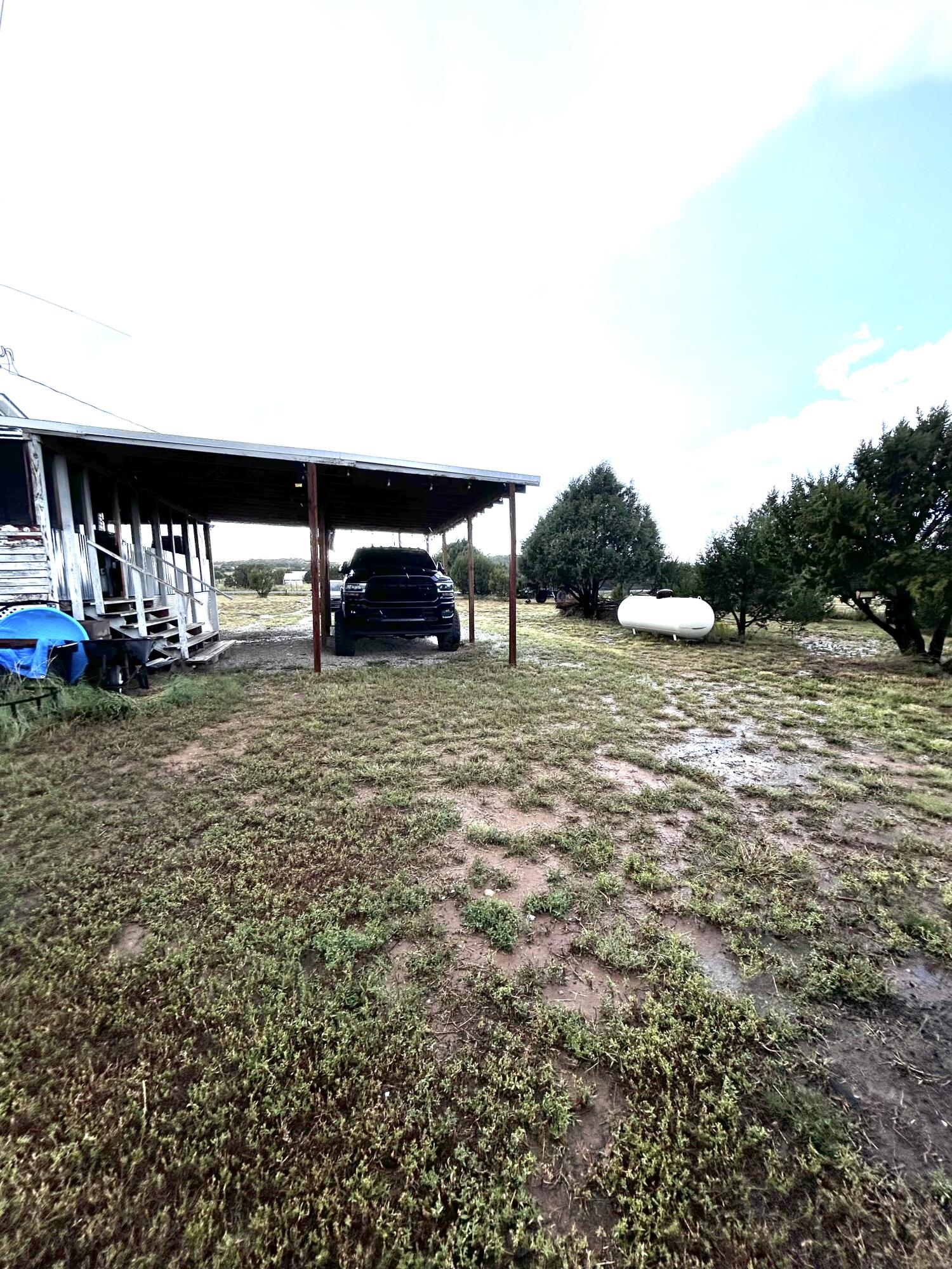 82 Holli Loop