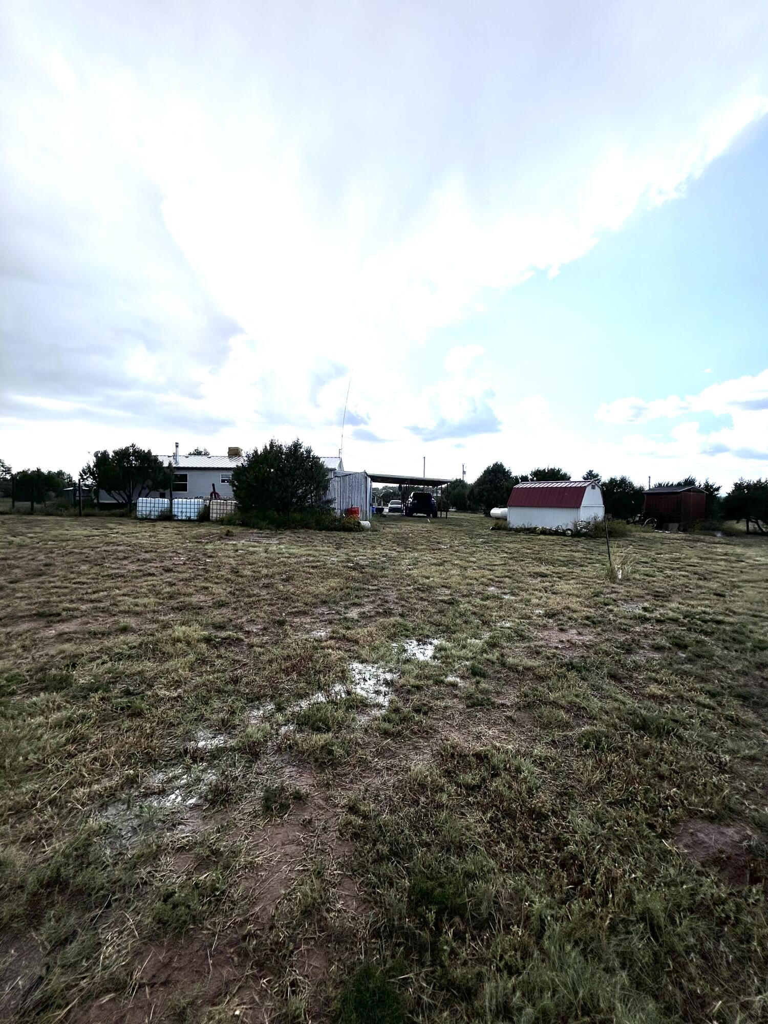 82 Holli Loop