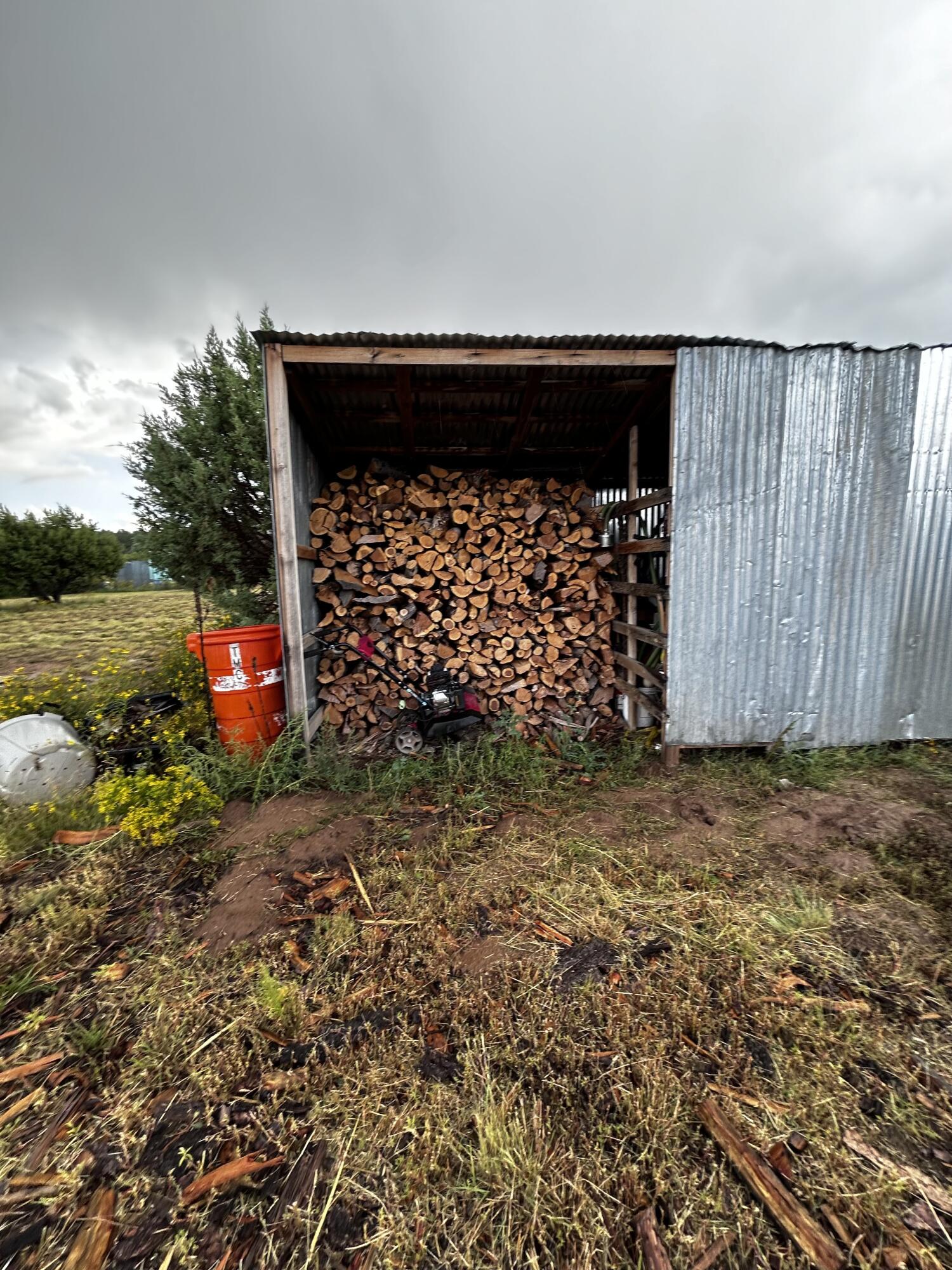 82 Holli Loop