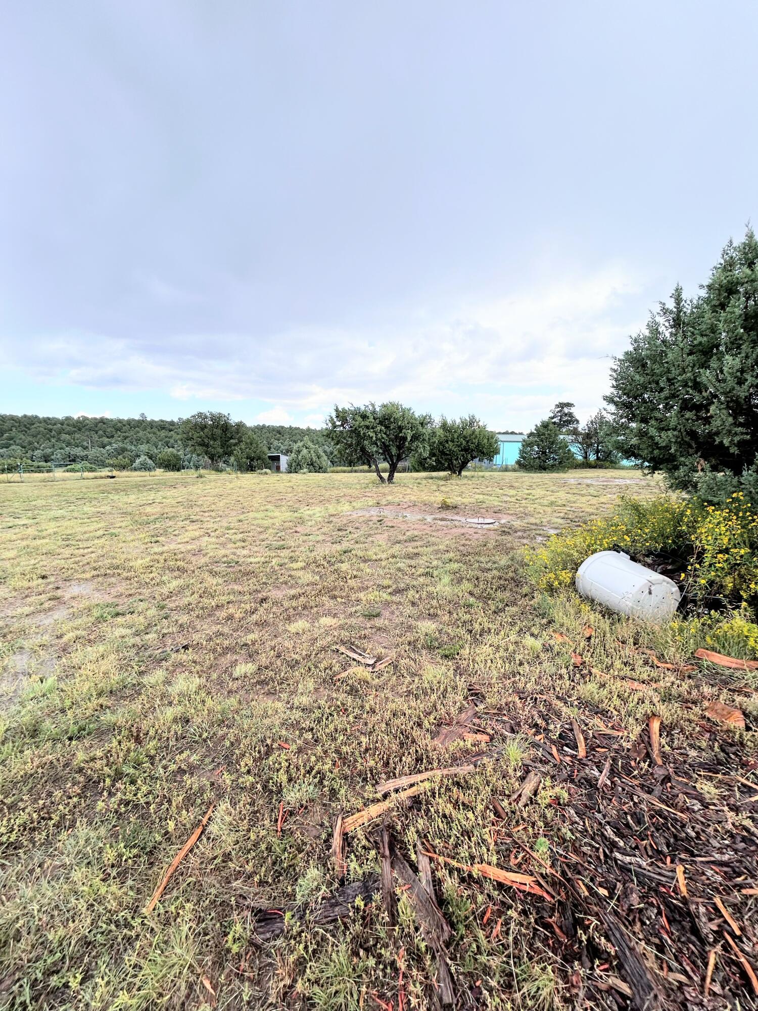 82 Holli Loop