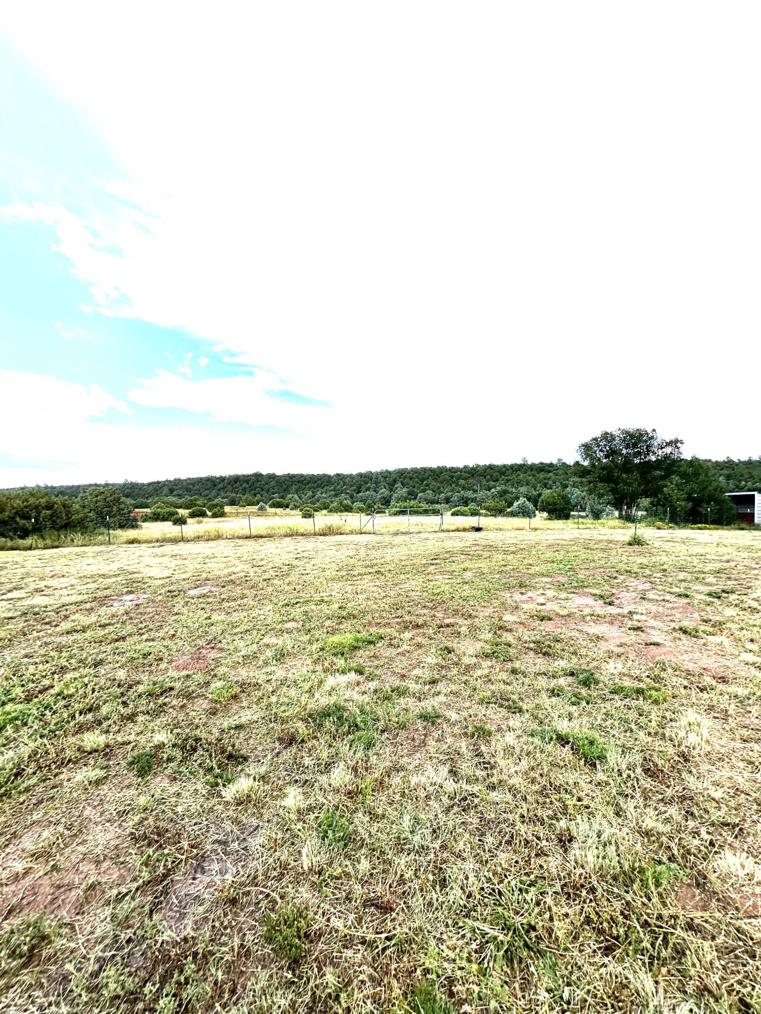 82 Holli Loop