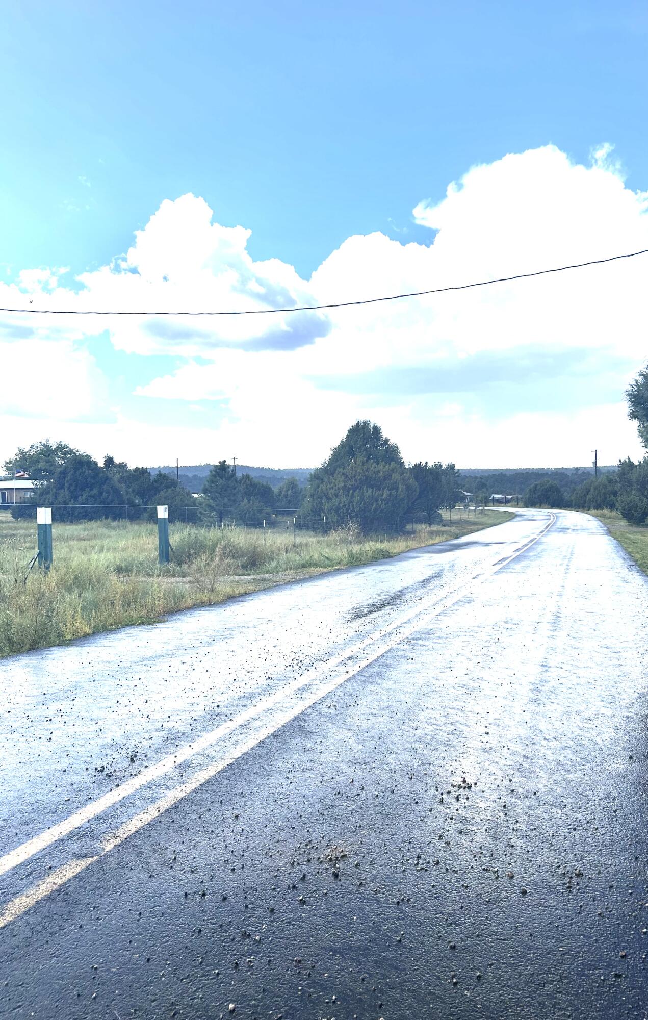 82 Holli Loop