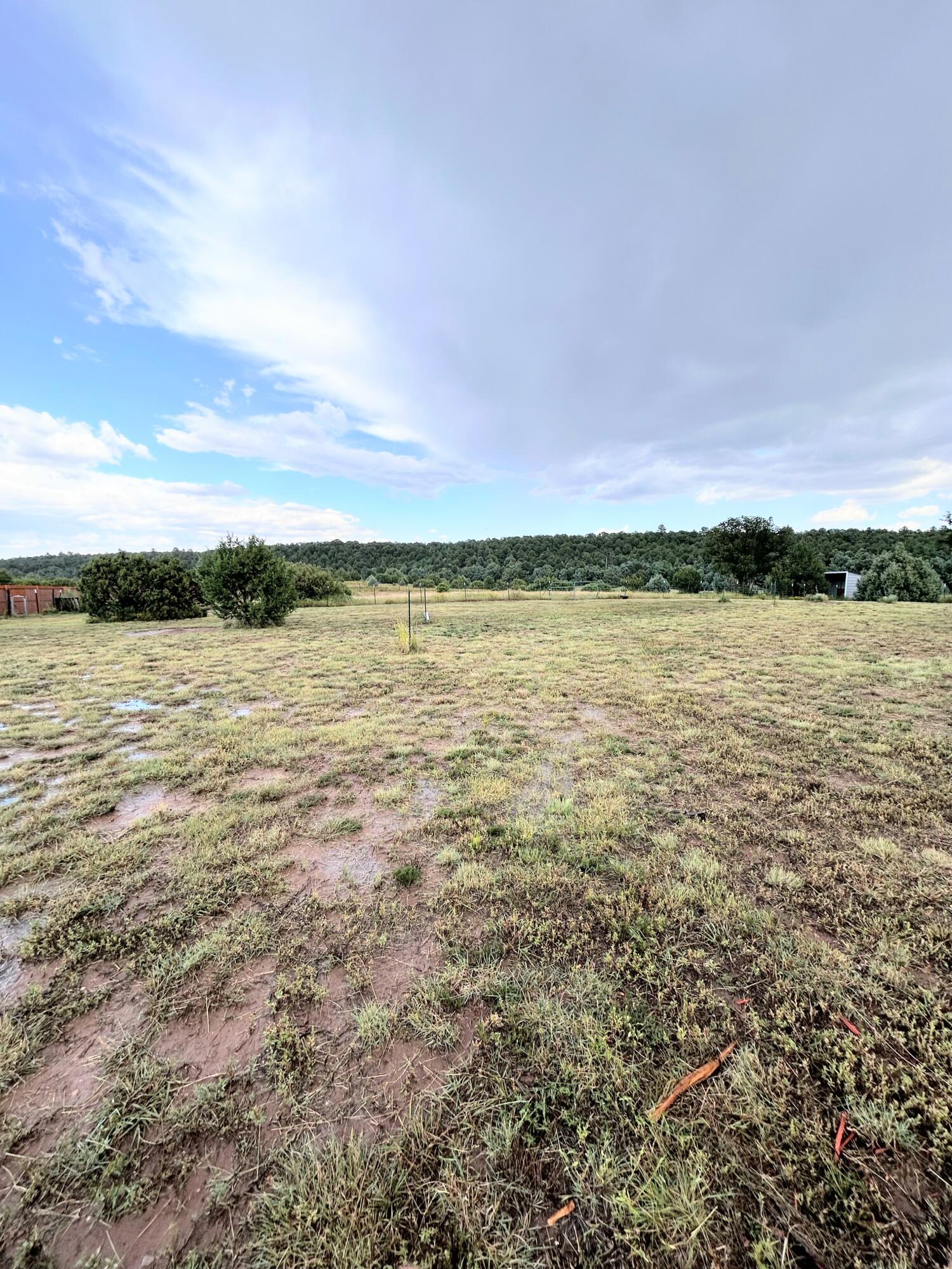 82 Holli Loop