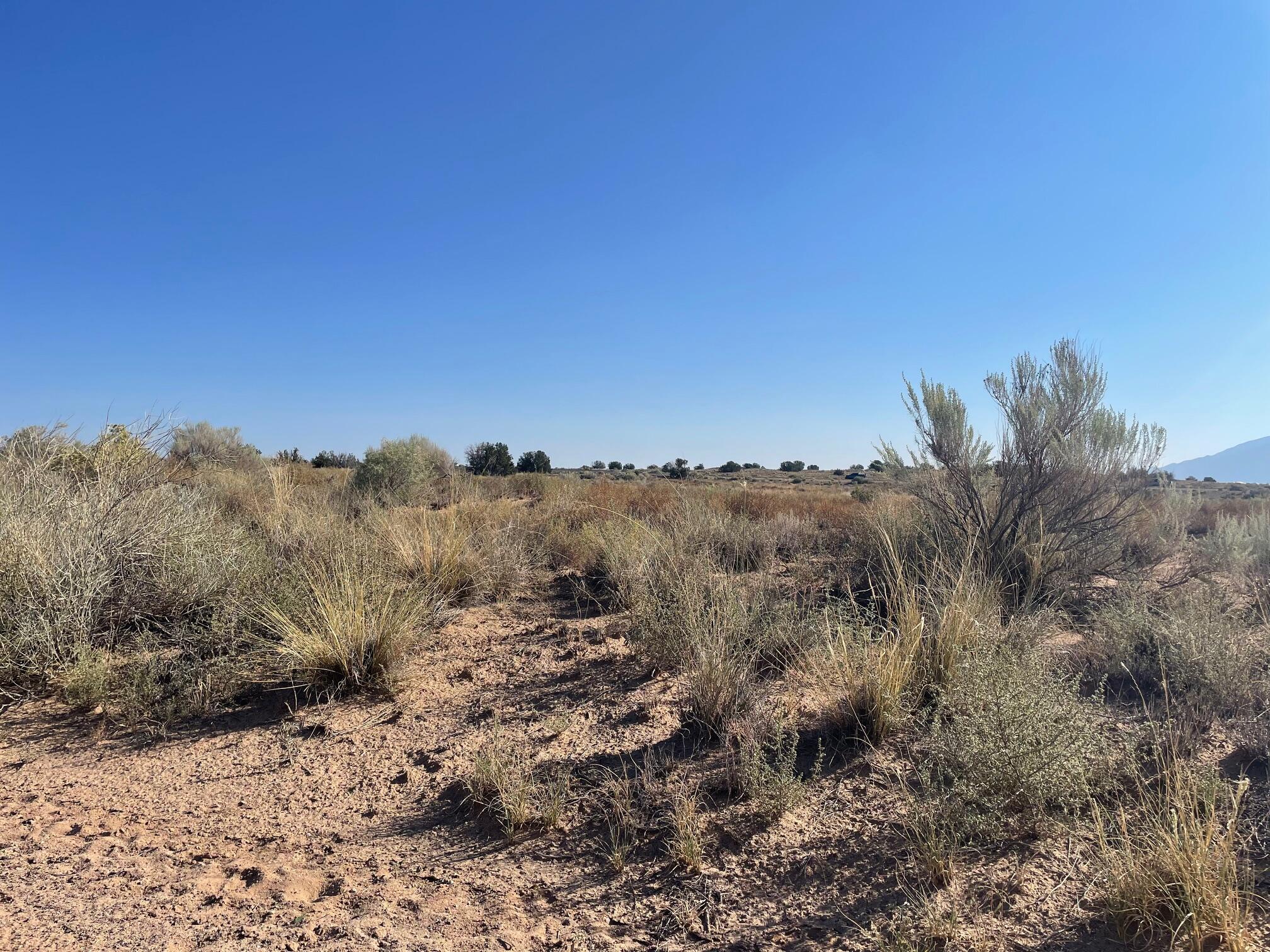 Lot 6 Block 10 Unit 16