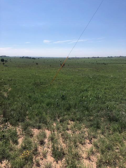 LEXCO Road D
