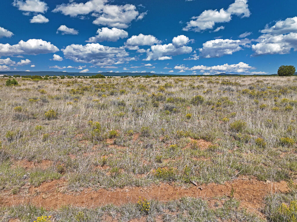 0 TIERRA VERDE RANCHETTES