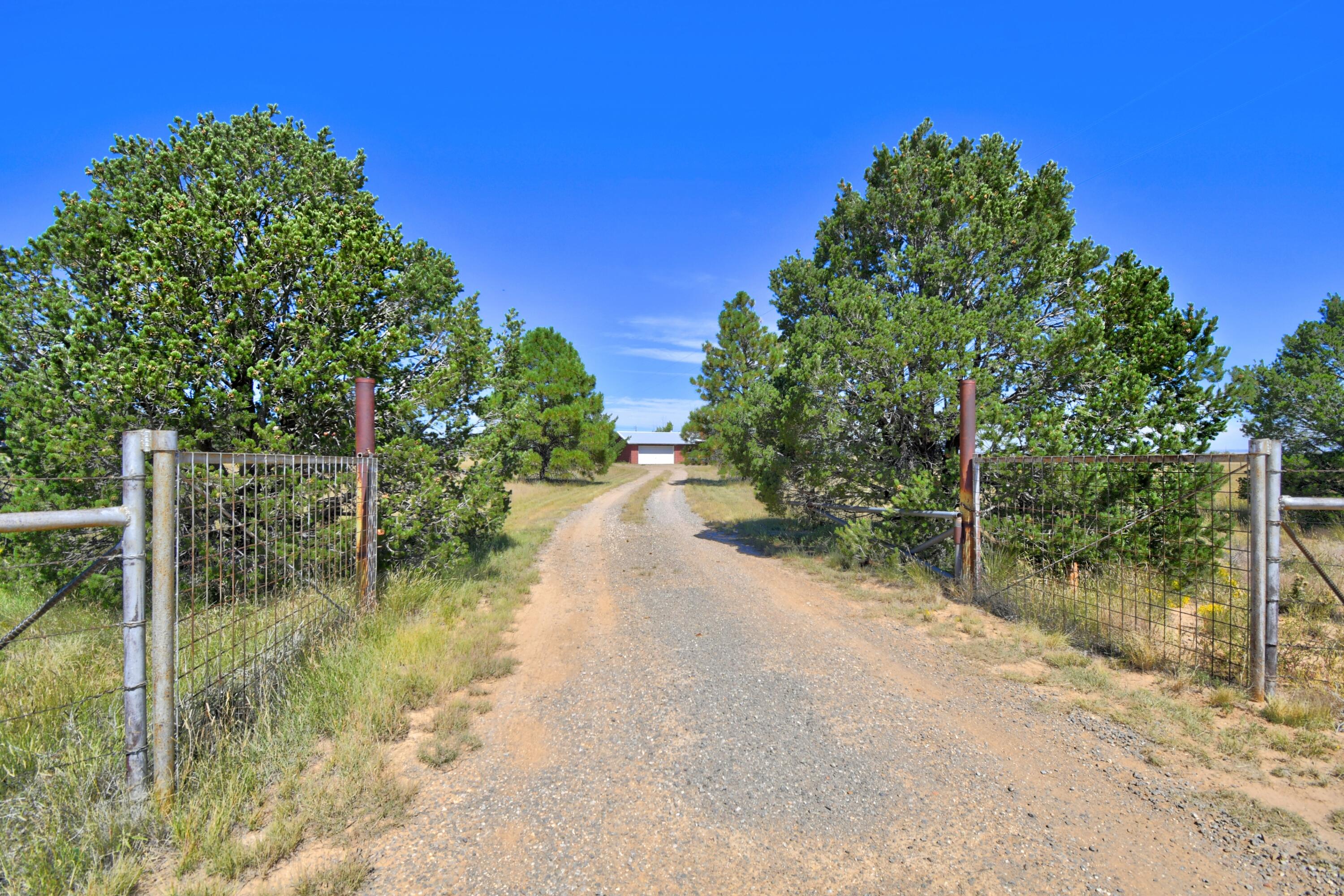 155 RABBIT RUN Court