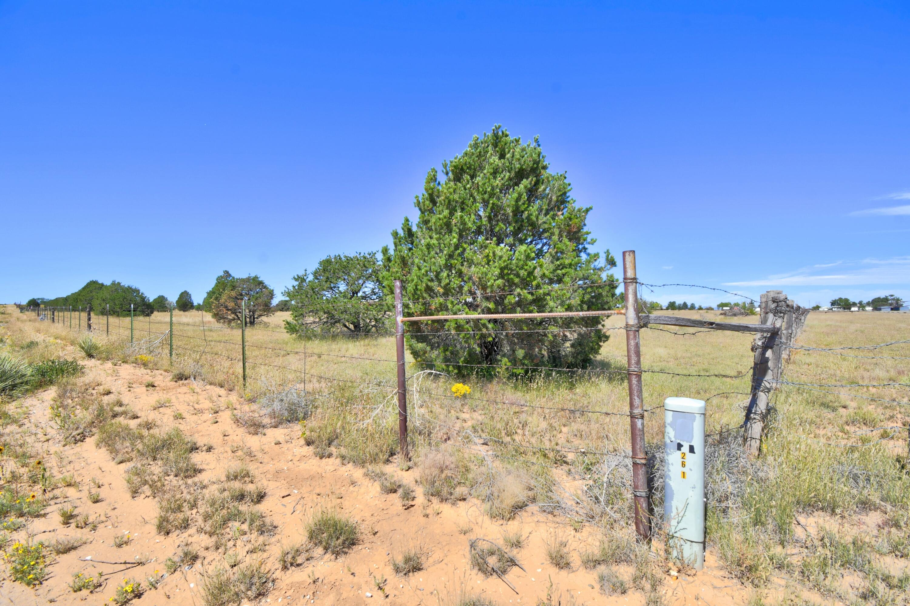 155 RABBIT RUN Court