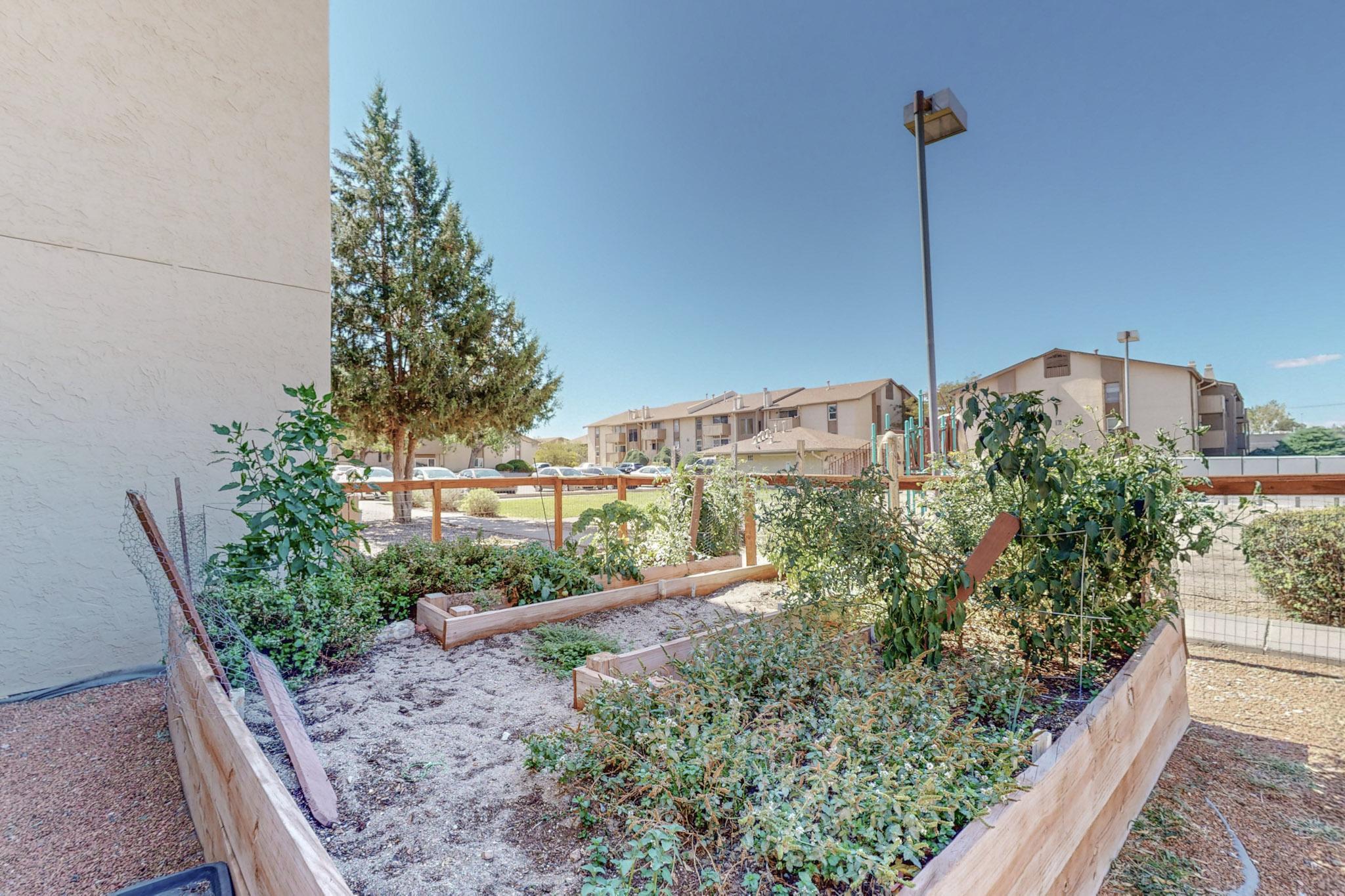3853 MONTGOMERY Boulevard NE 1005