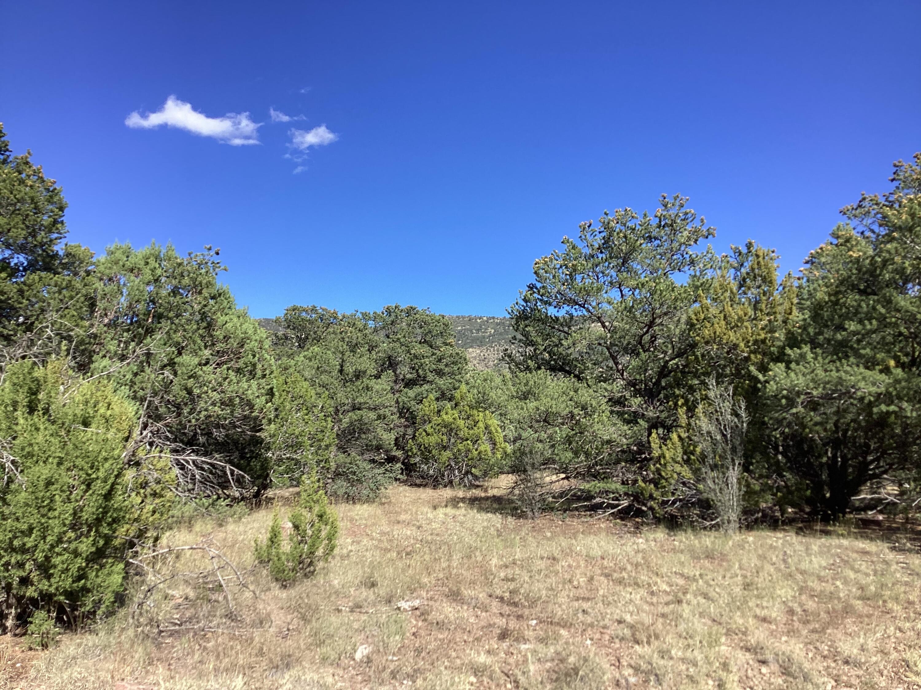 19.81 AC LOWER PATTERSON CANYON