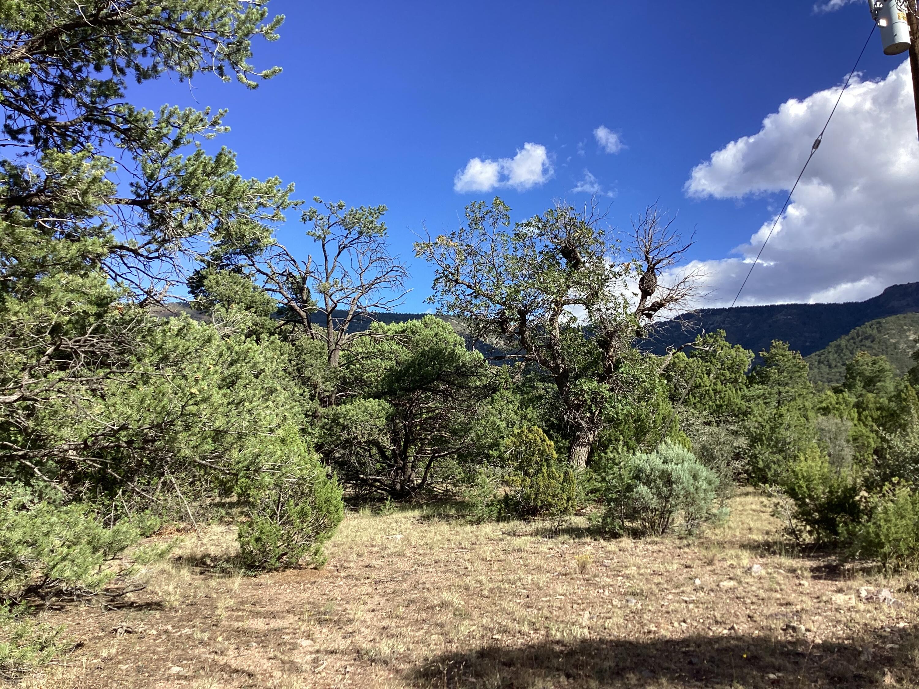19.81 AC LOWER PATTERSON CANYON
