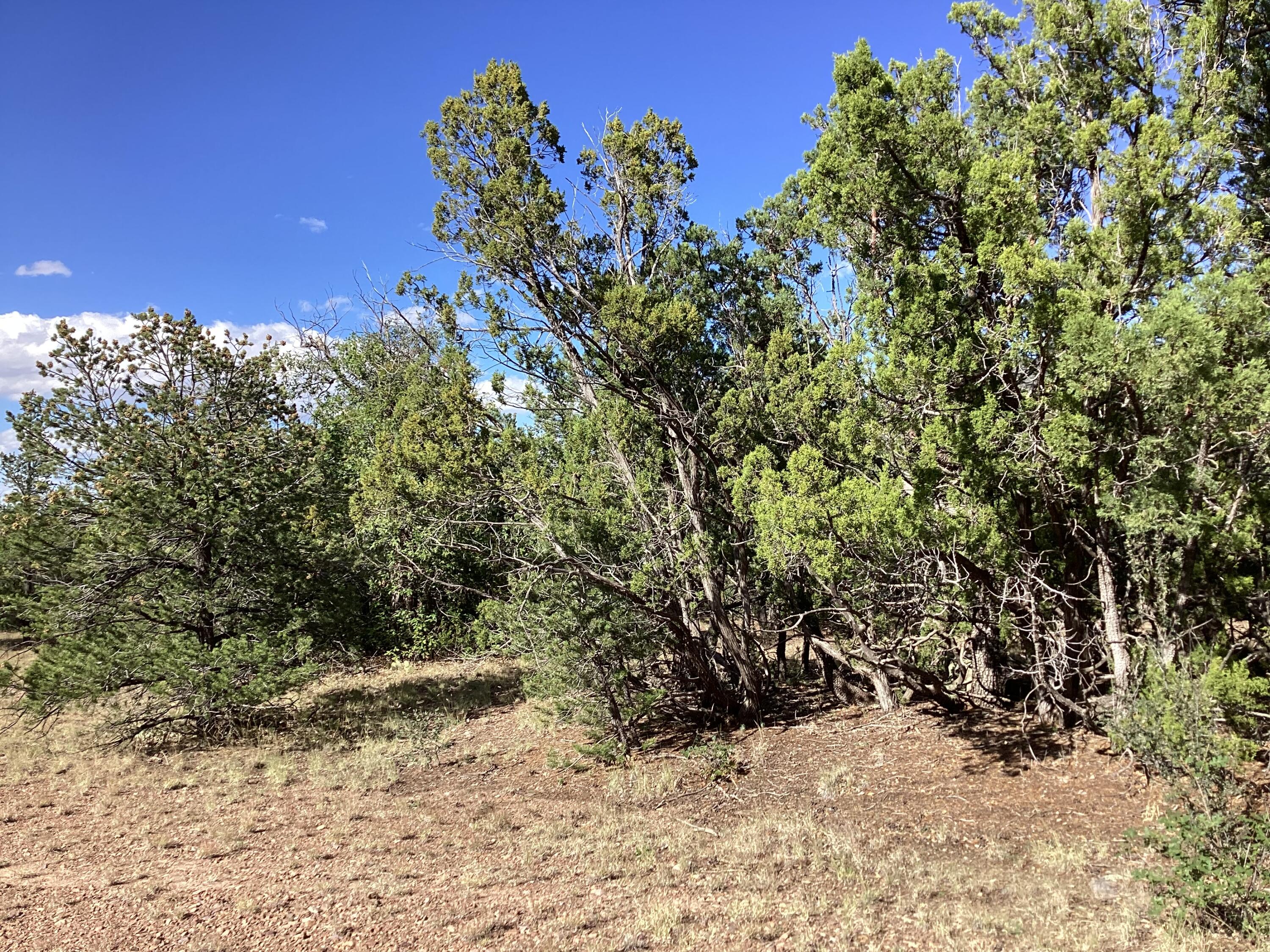 19.81 AC LOWER PATTERSON CANYON