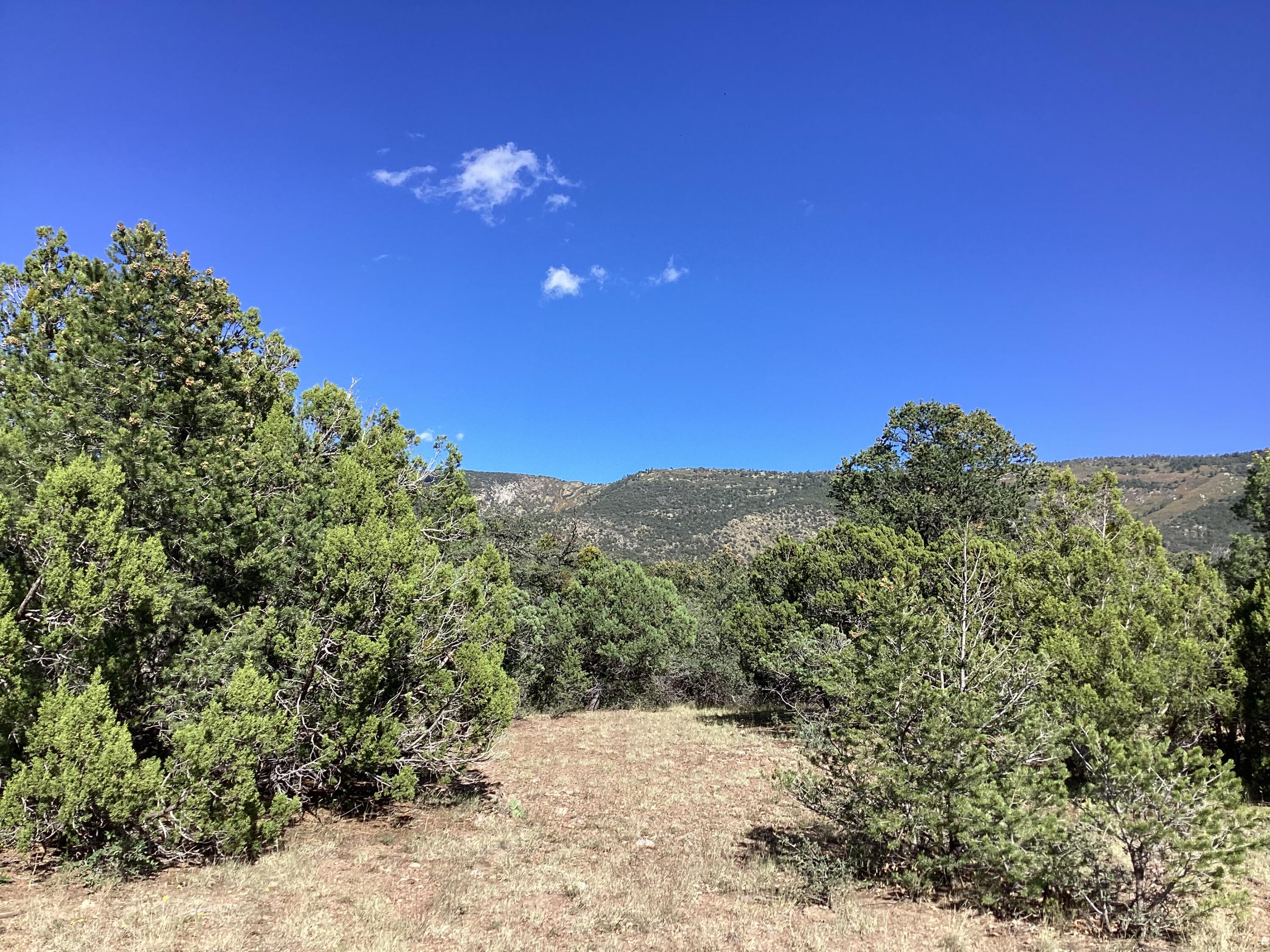19.81 AC LOWER PATTERSON CANYON