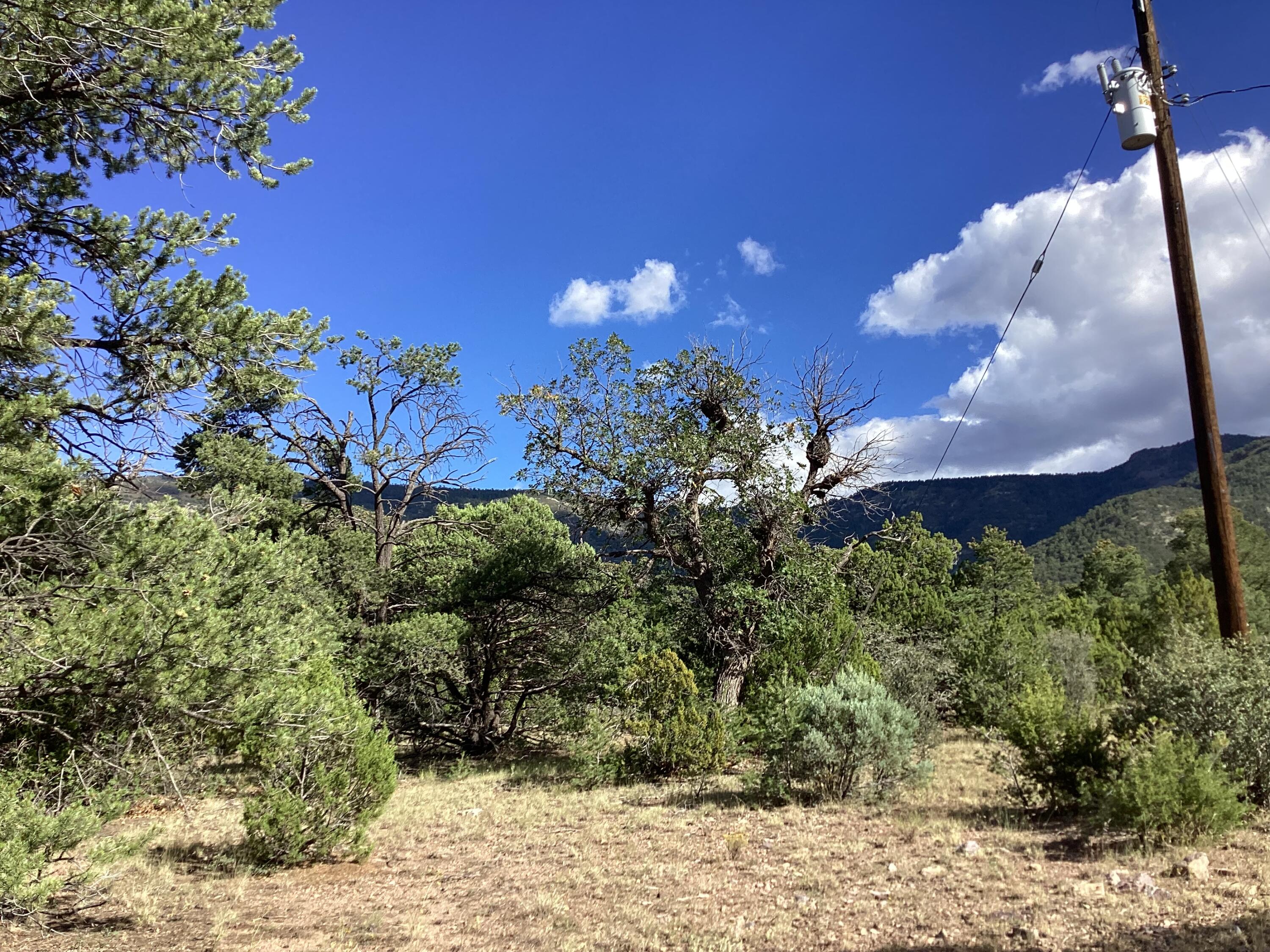 19.81 AC LOWER PATTERSON CANYON