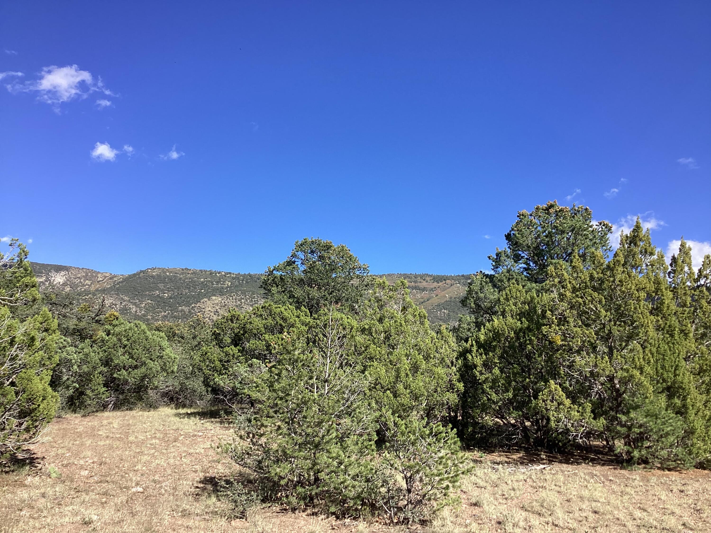 19.81 AC LOWER PATTERSON CANYON