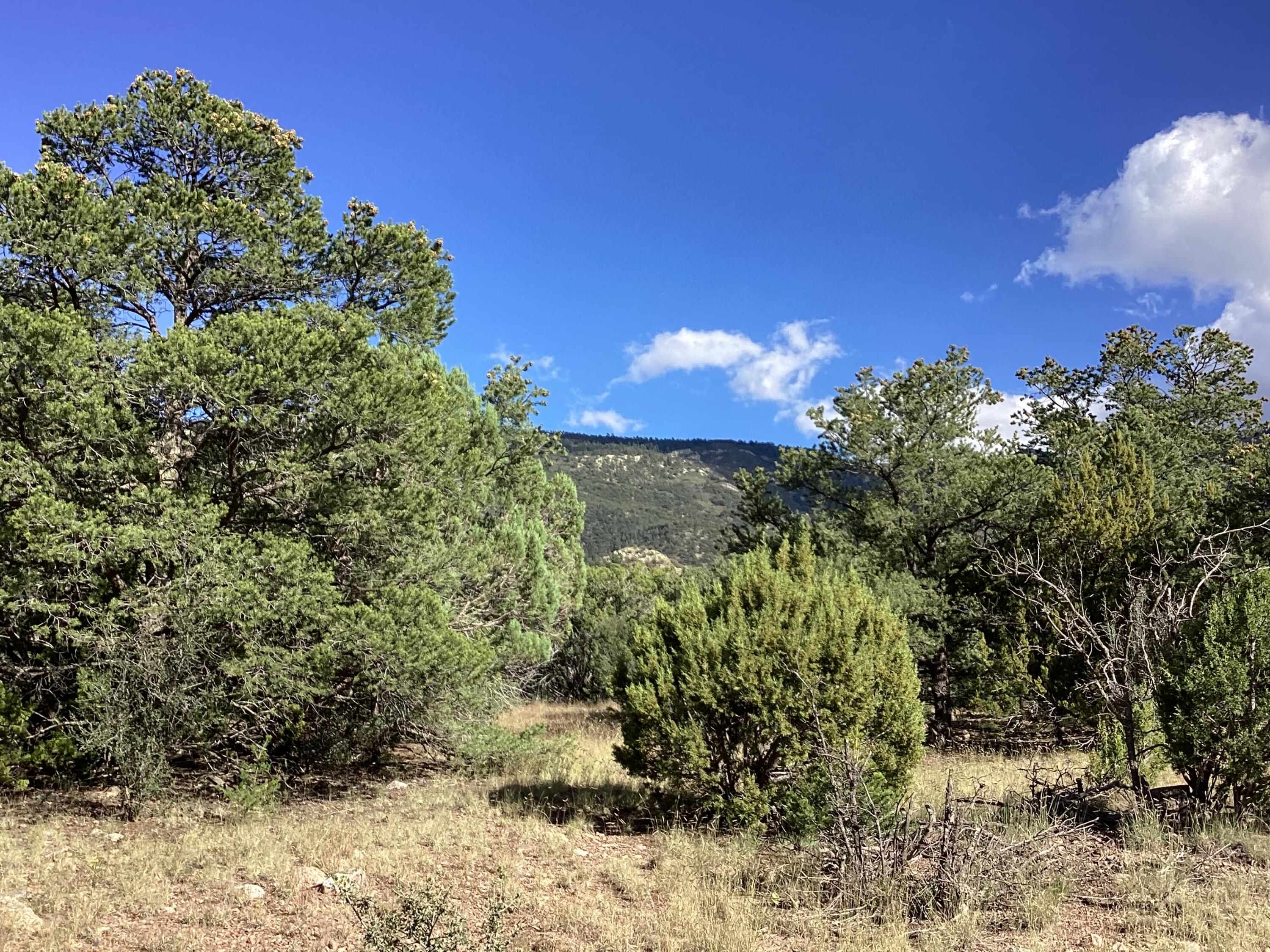 19.81 AC LOWER PATTERSON CANYON