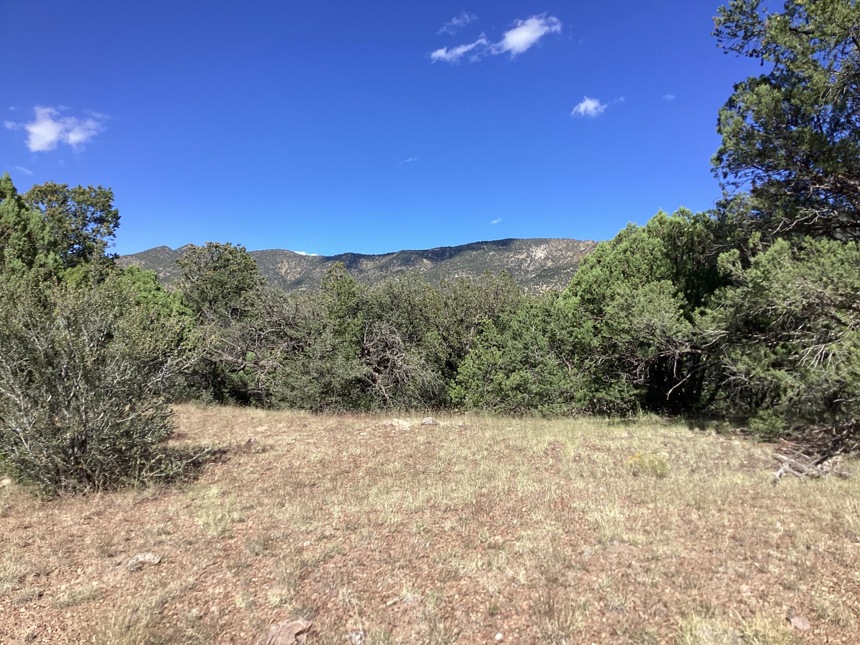19.81 AC LOWER PATTERSON CANYON