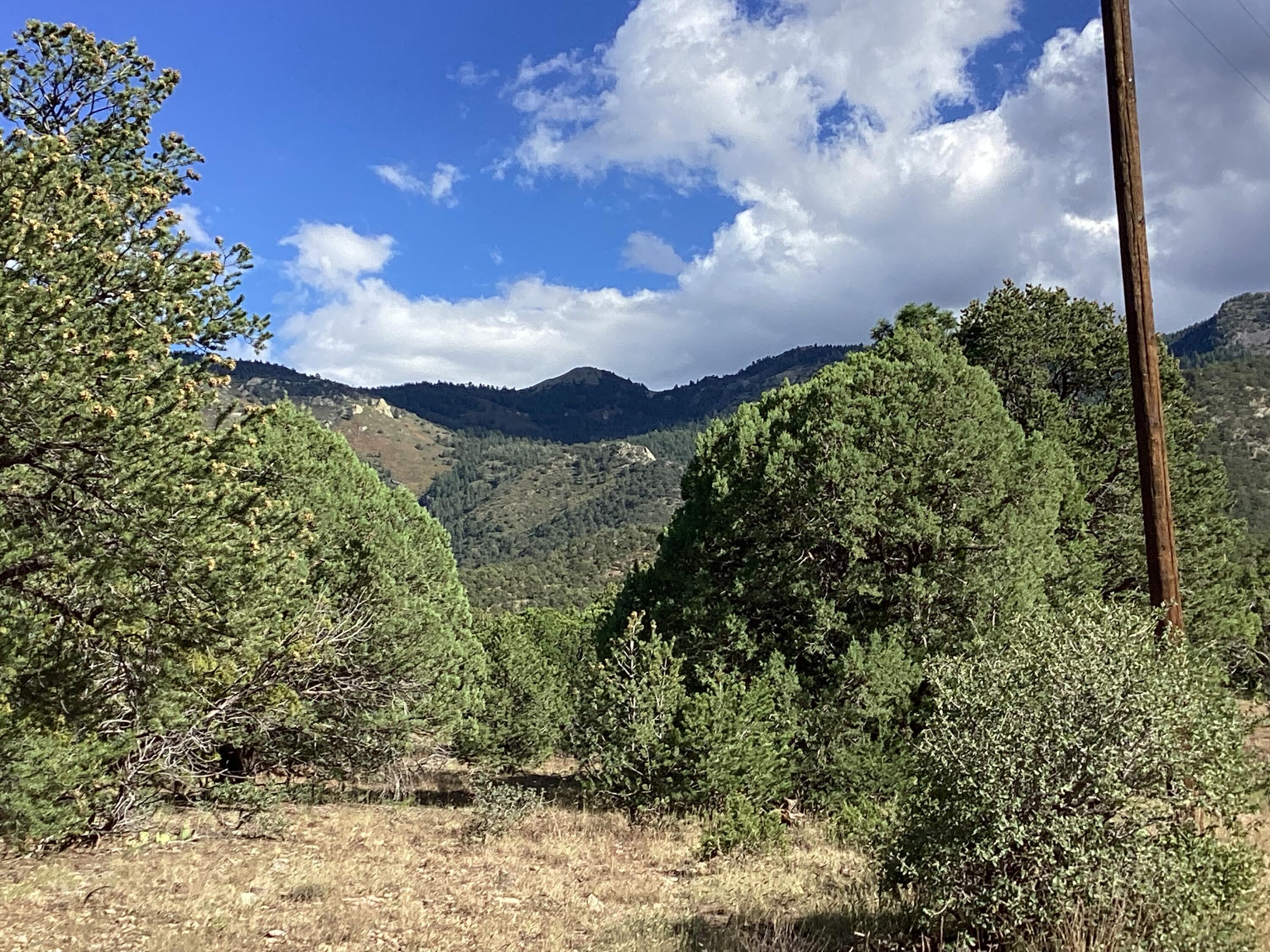 19.81 AC LOWER PATTERSON CANYON