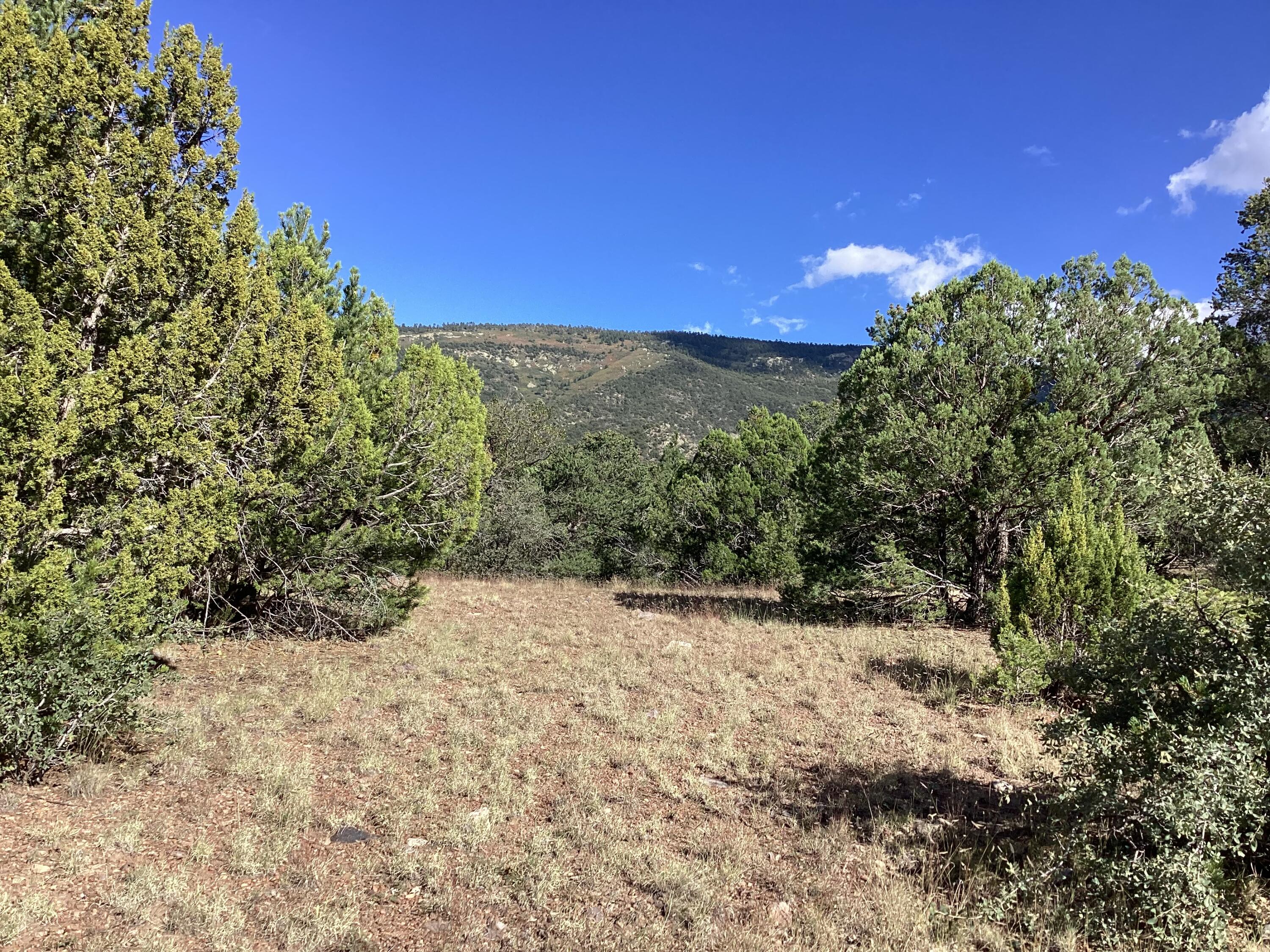 19.81 AC LOWER PATTERSON CANYON