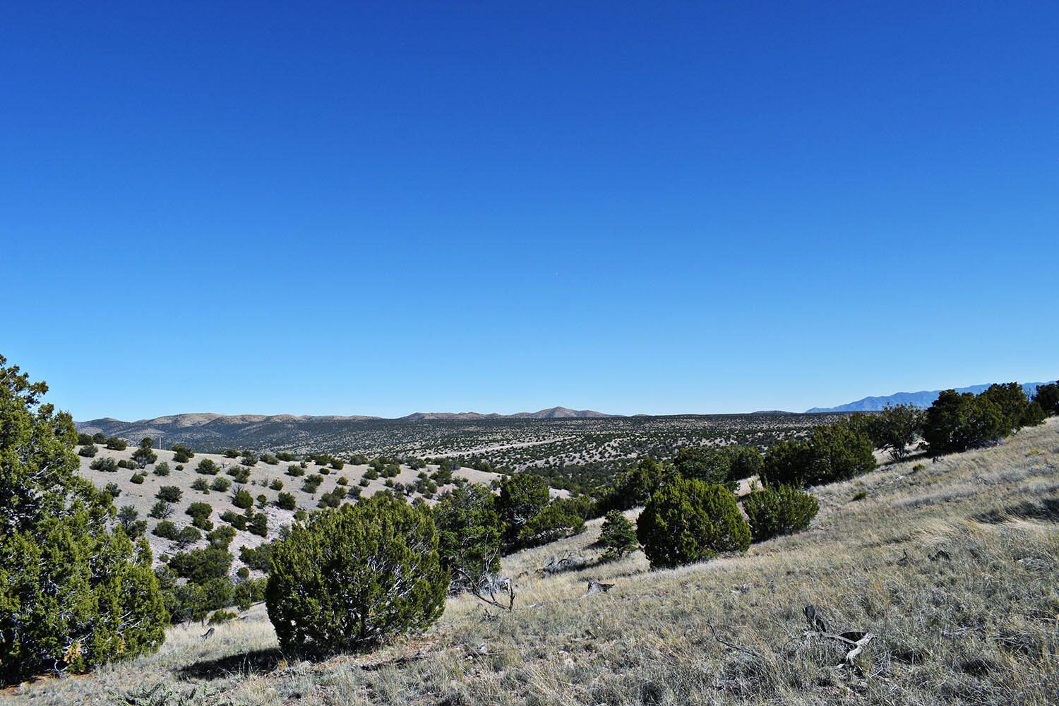 202 RIDGE VIEW Road