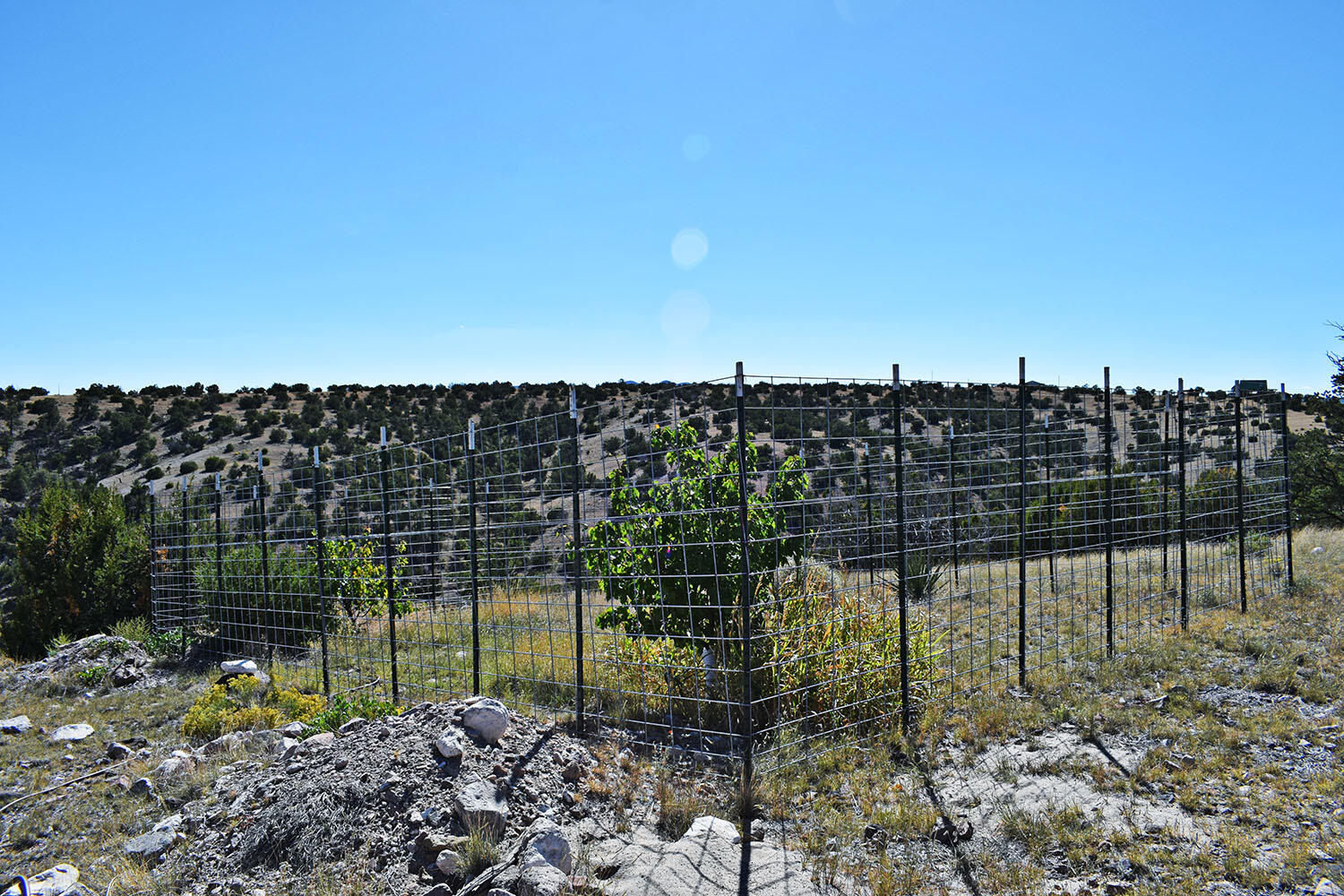 202 RIDGE VIEW Road